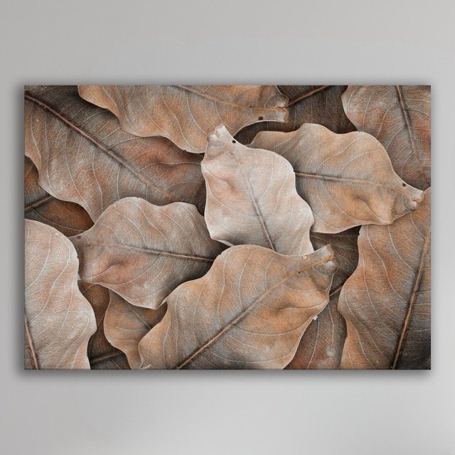 Dry Leaf Wall Plain.jpeg