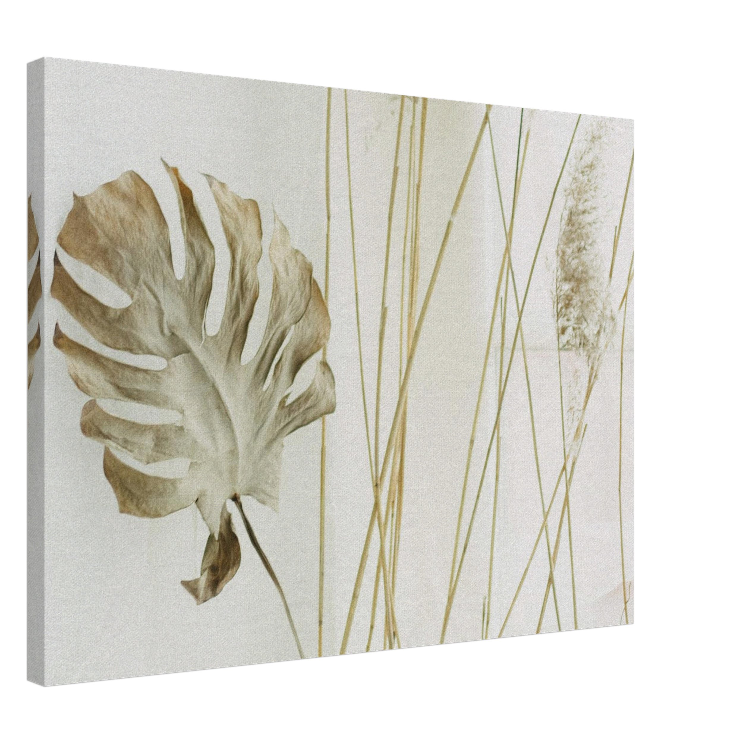 Dried Foliage Canvas Print.jpeg