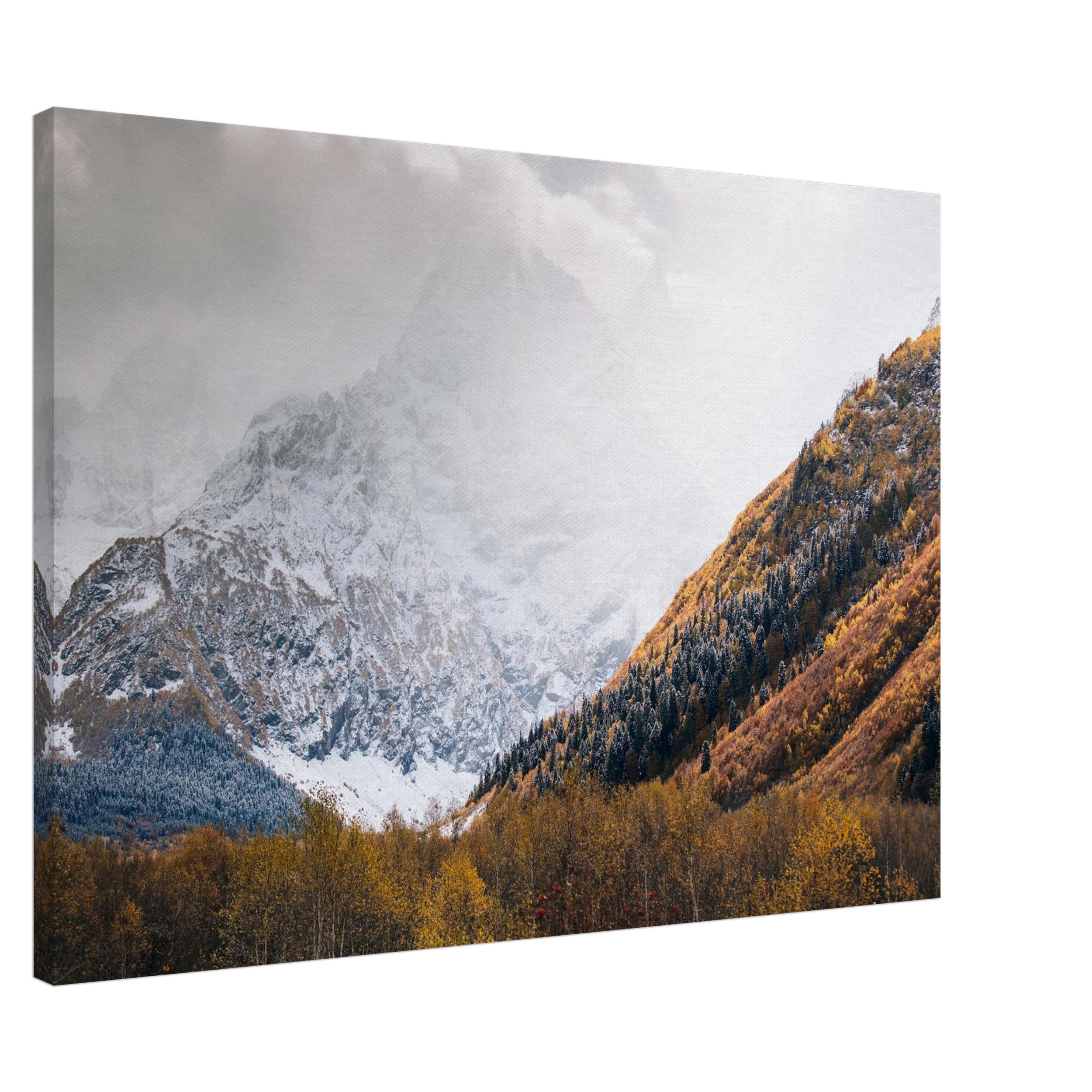 Alps Mountain Canvas.jpeg