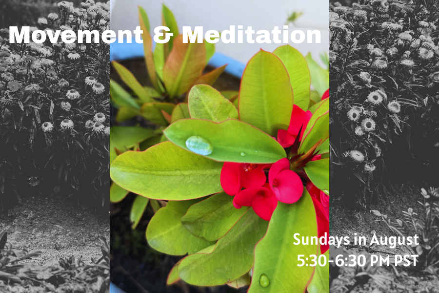 Movement & Meditation