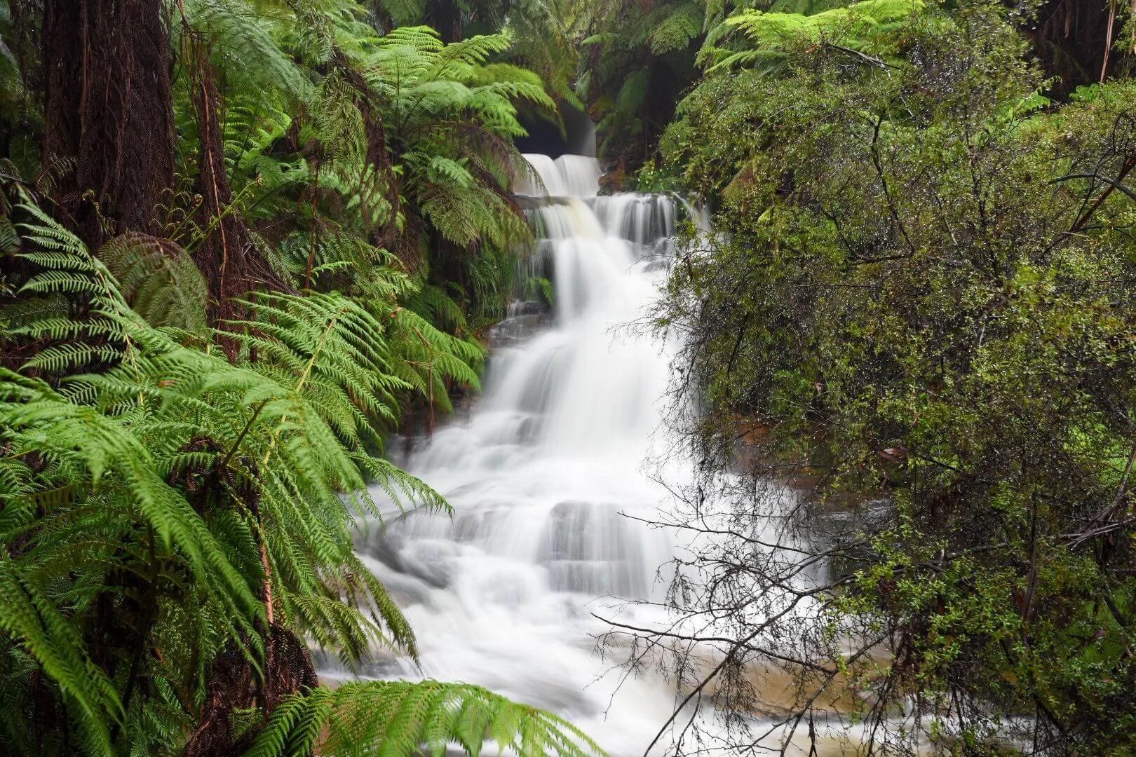 Blue-mountains-waterfall-facebook.jpg