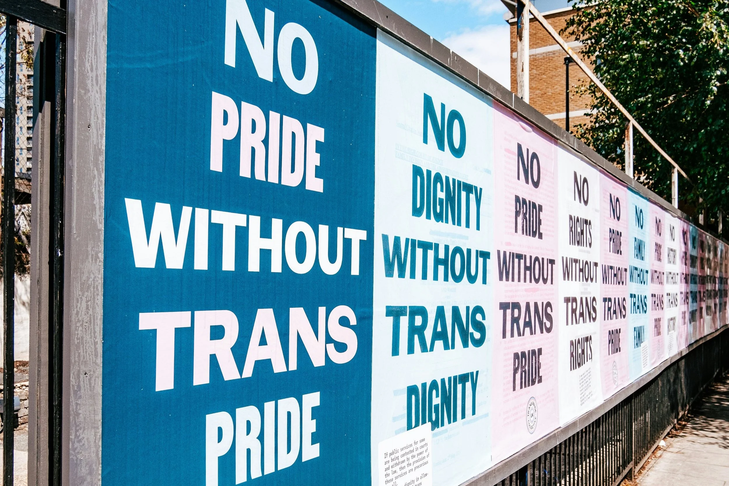 A row of posters about trans rights, the first most prominent one saying "No pride without trans pride".