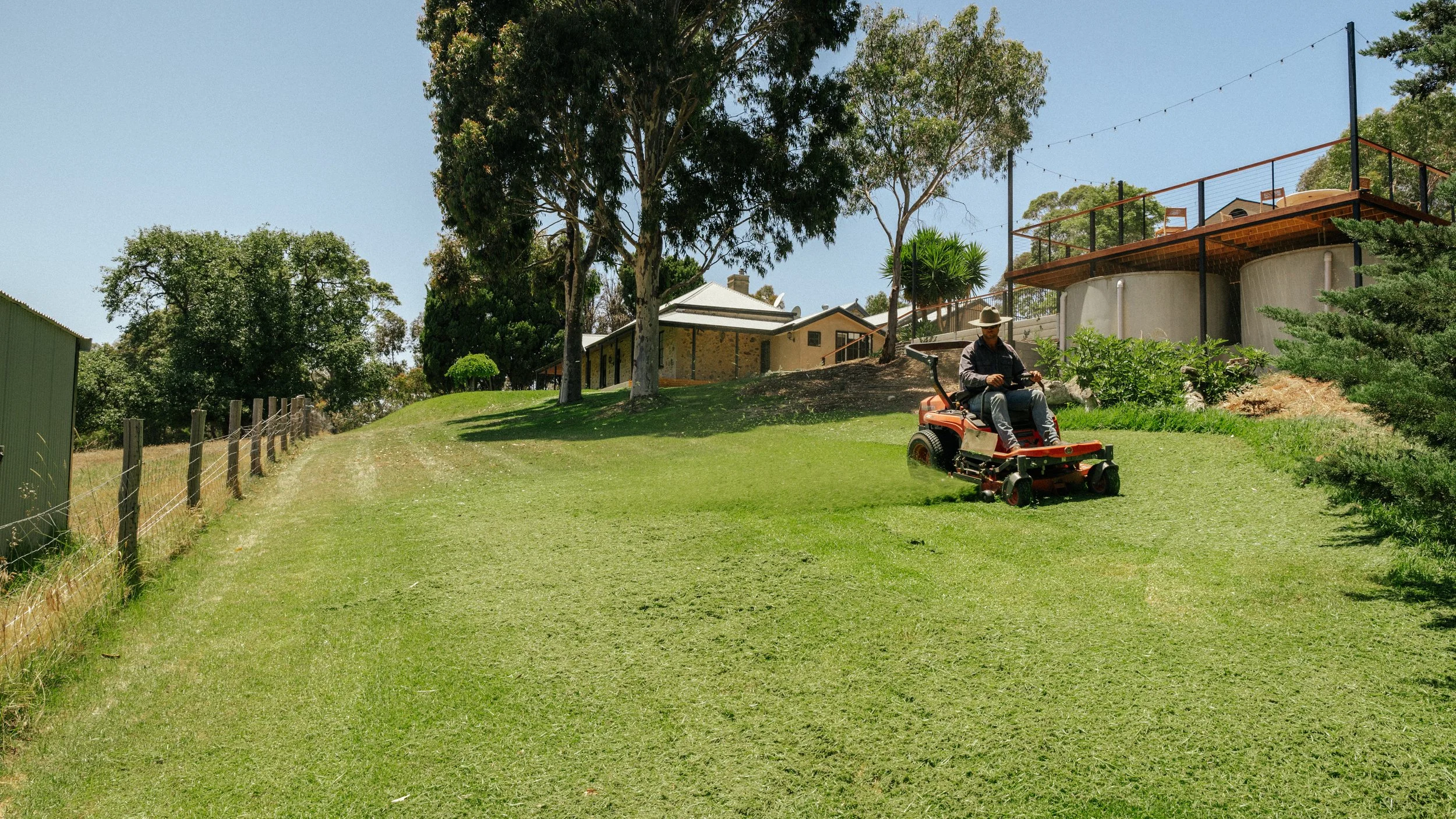 A person riding a riding lawn mower on a grassy hill in a backyard with trees, a fence, and residential buildings in the background.