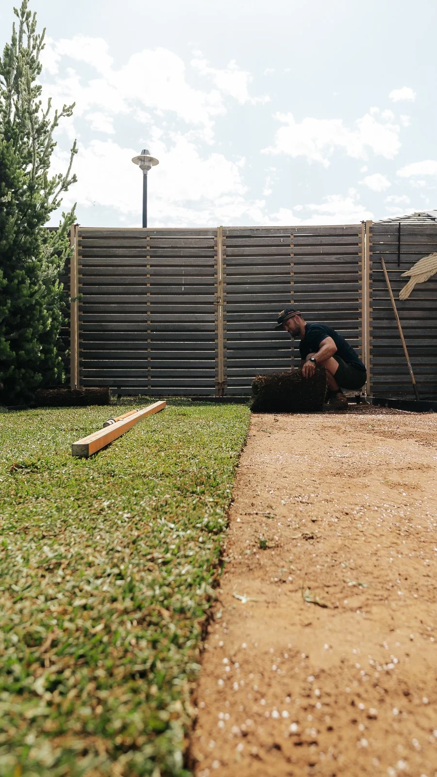 A man installing lawn or turf on a yard with a wooden fence in the background, a tree to the left, and a pathway being laid.
