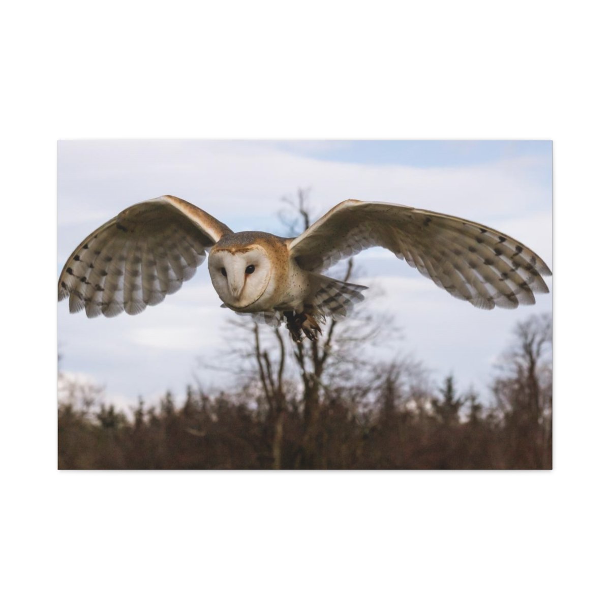 4b67da6e1fe850a633c21344cdf3b126