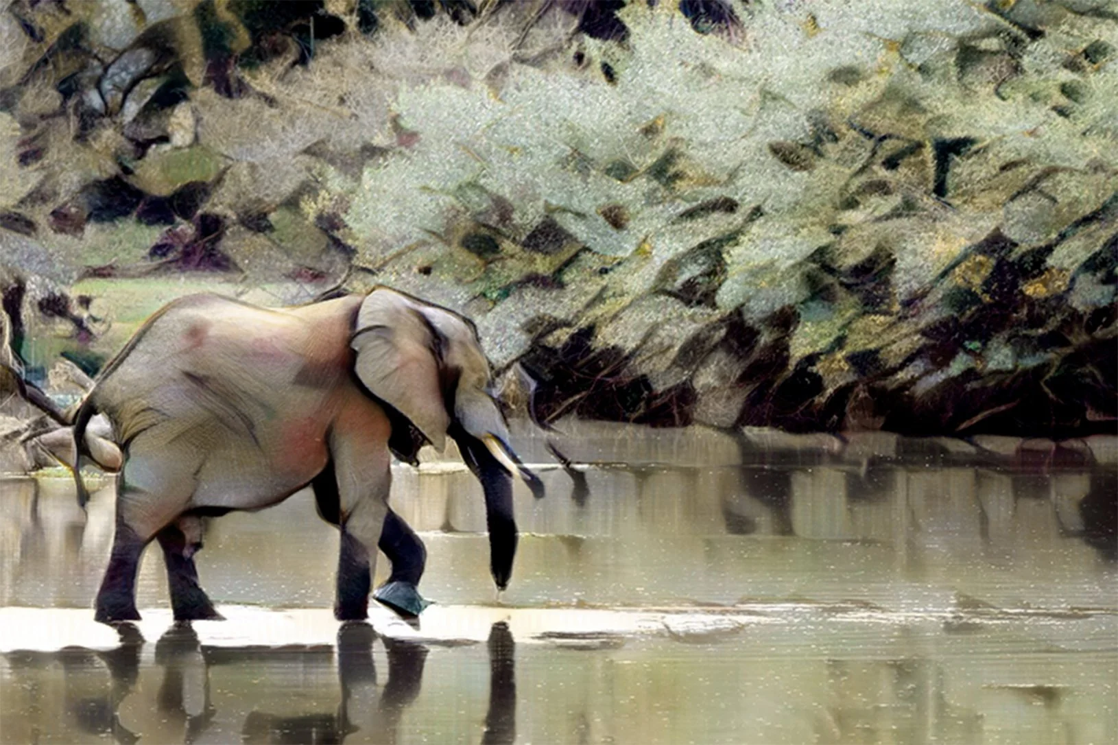 The wonderer: A lone elephant heads into he unknown with just courage and its wits about him, 
