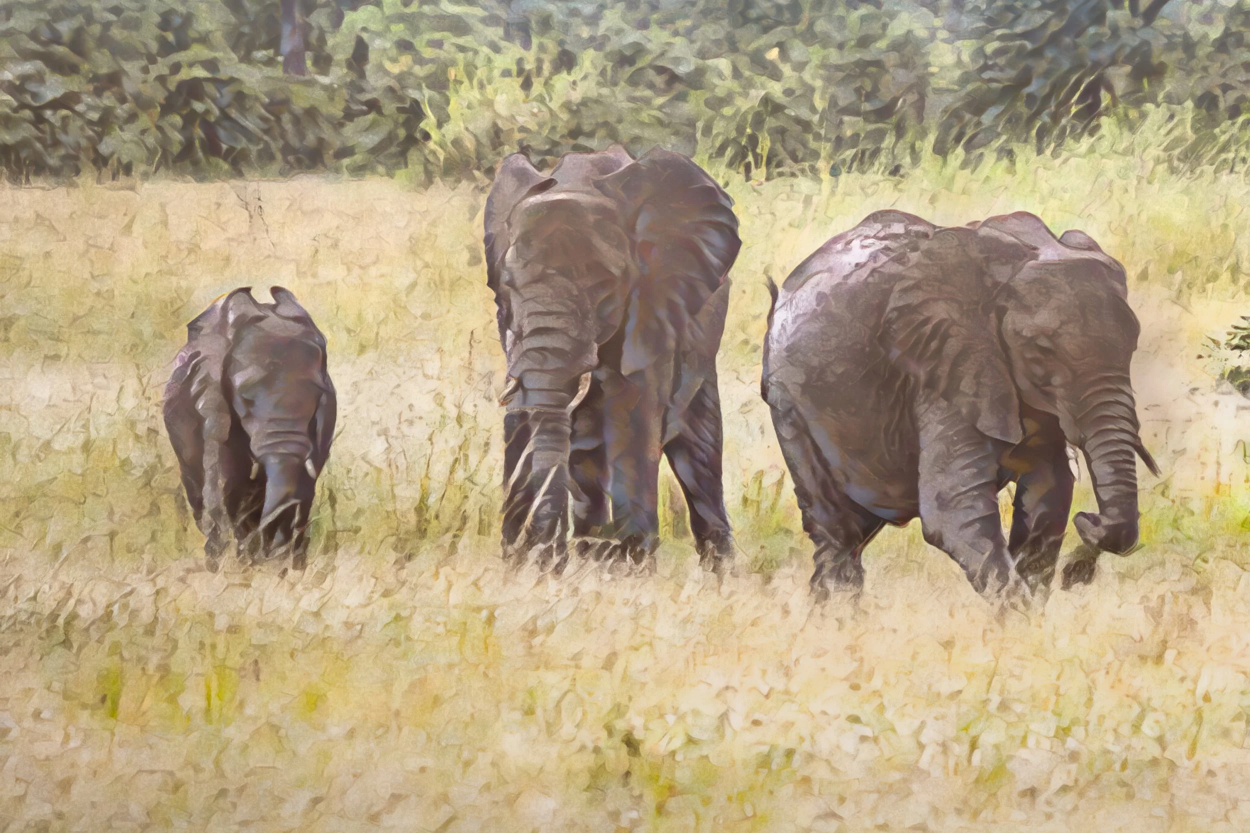 A family stroll: a family cares for one another, wherever they are in the wilderness; together they are strong.