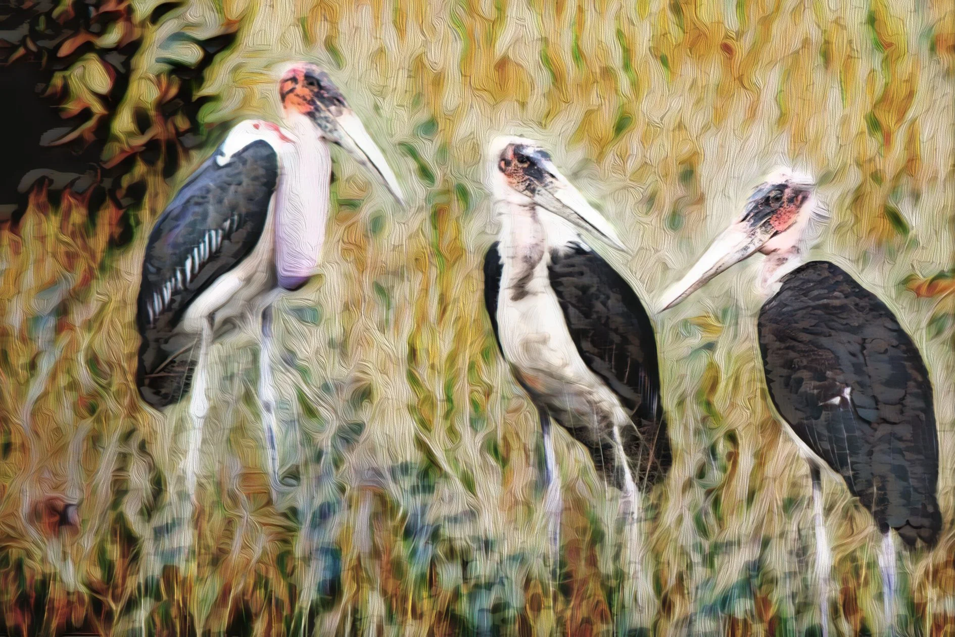 A conversation: Three vultures on the savanna discussing, relaxing or plotting. 