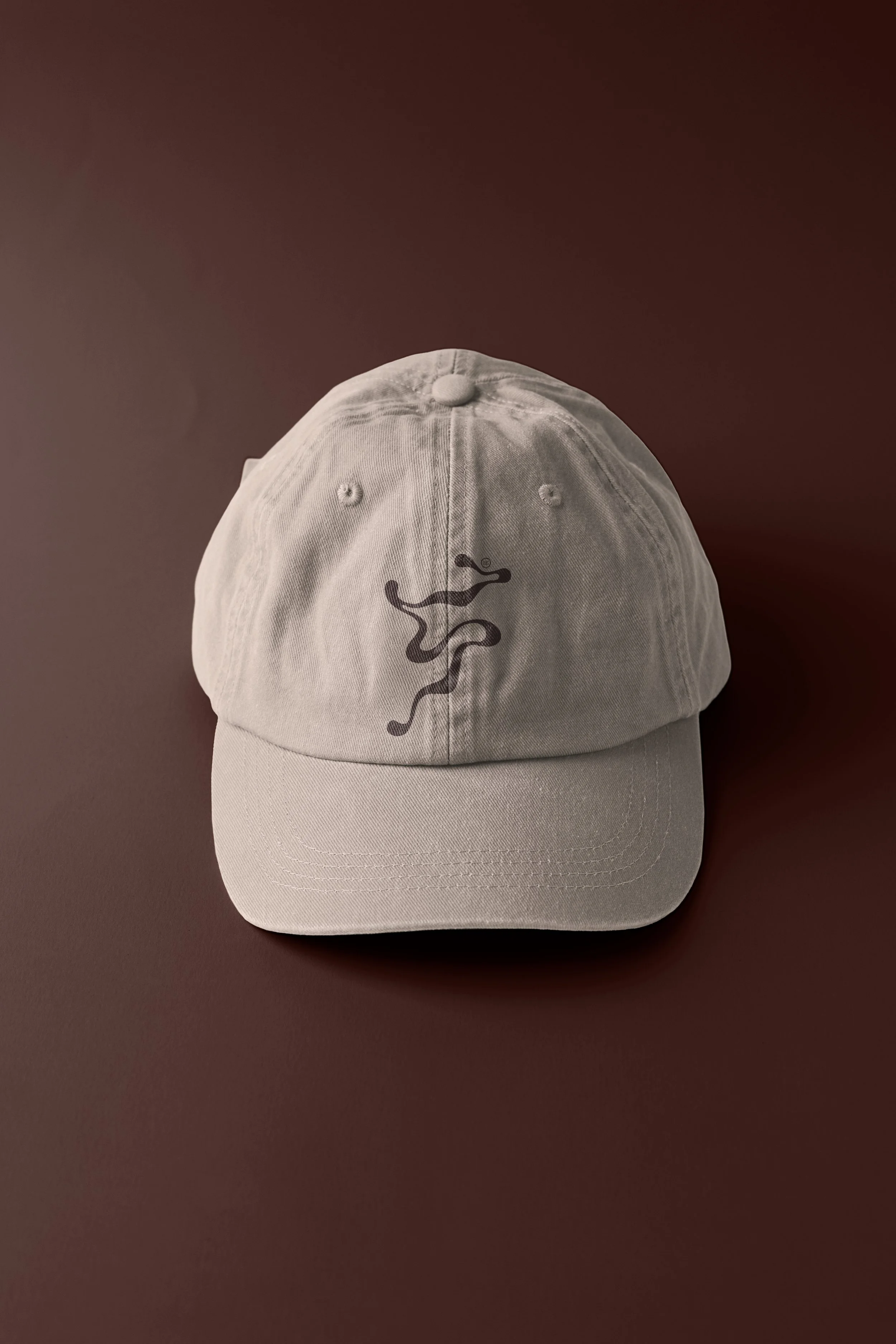 Custom logo Brand Identity Design Merch for Dance Company