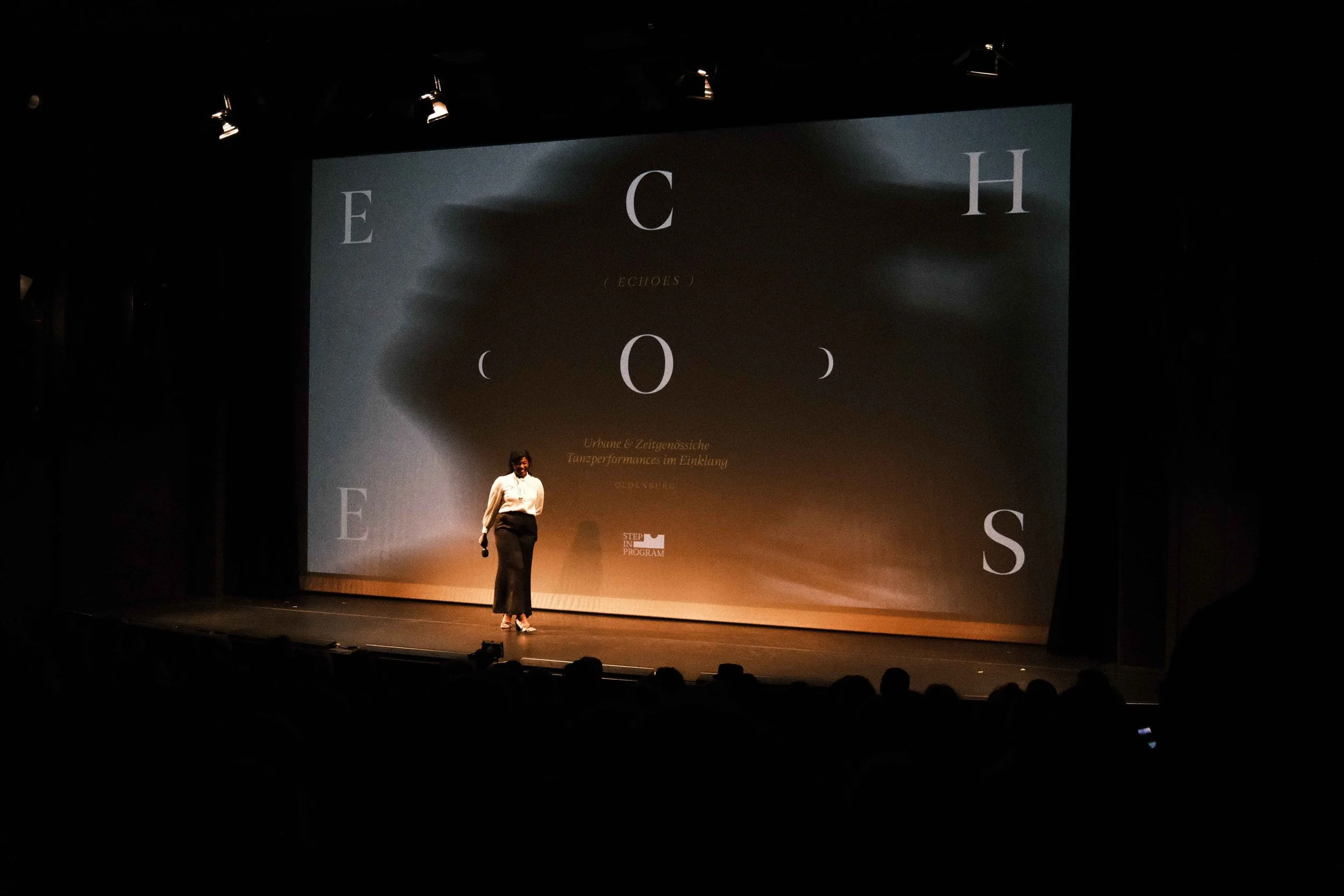 Visual Identity Design for a marketing campaign for the Dance Festival Echoes by Caray Studio