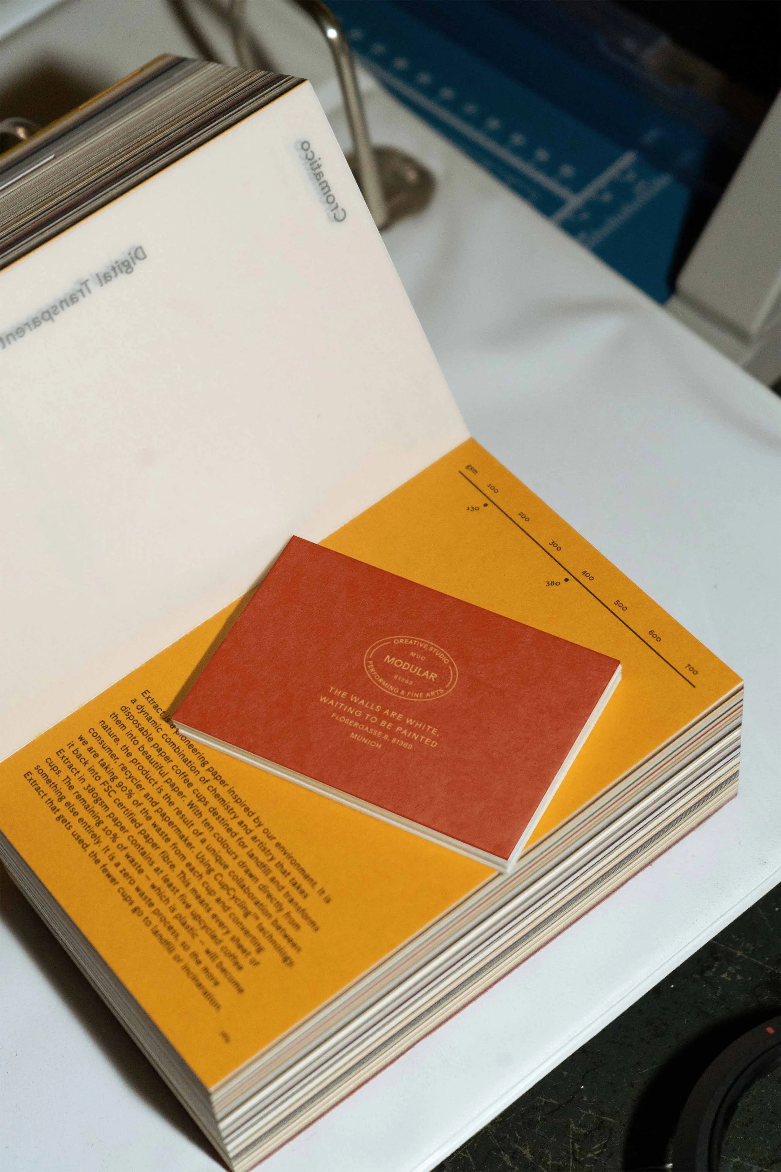 Brand Design Logo Suite for Photography Studio Munich