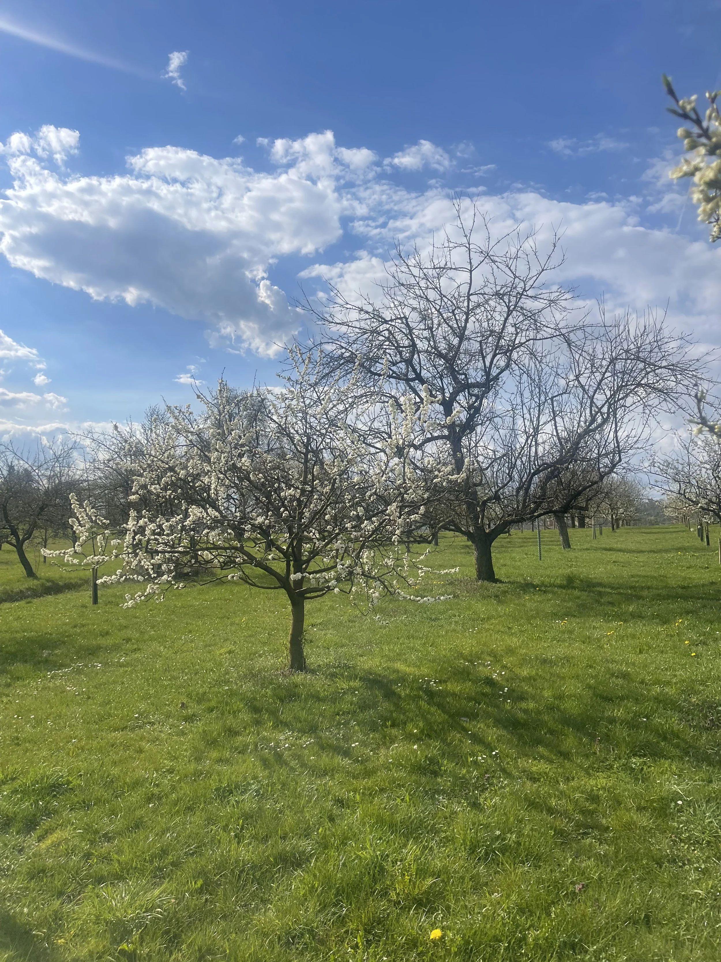 Do it yourself: Tod und Wiederauferstehung&nbsp;