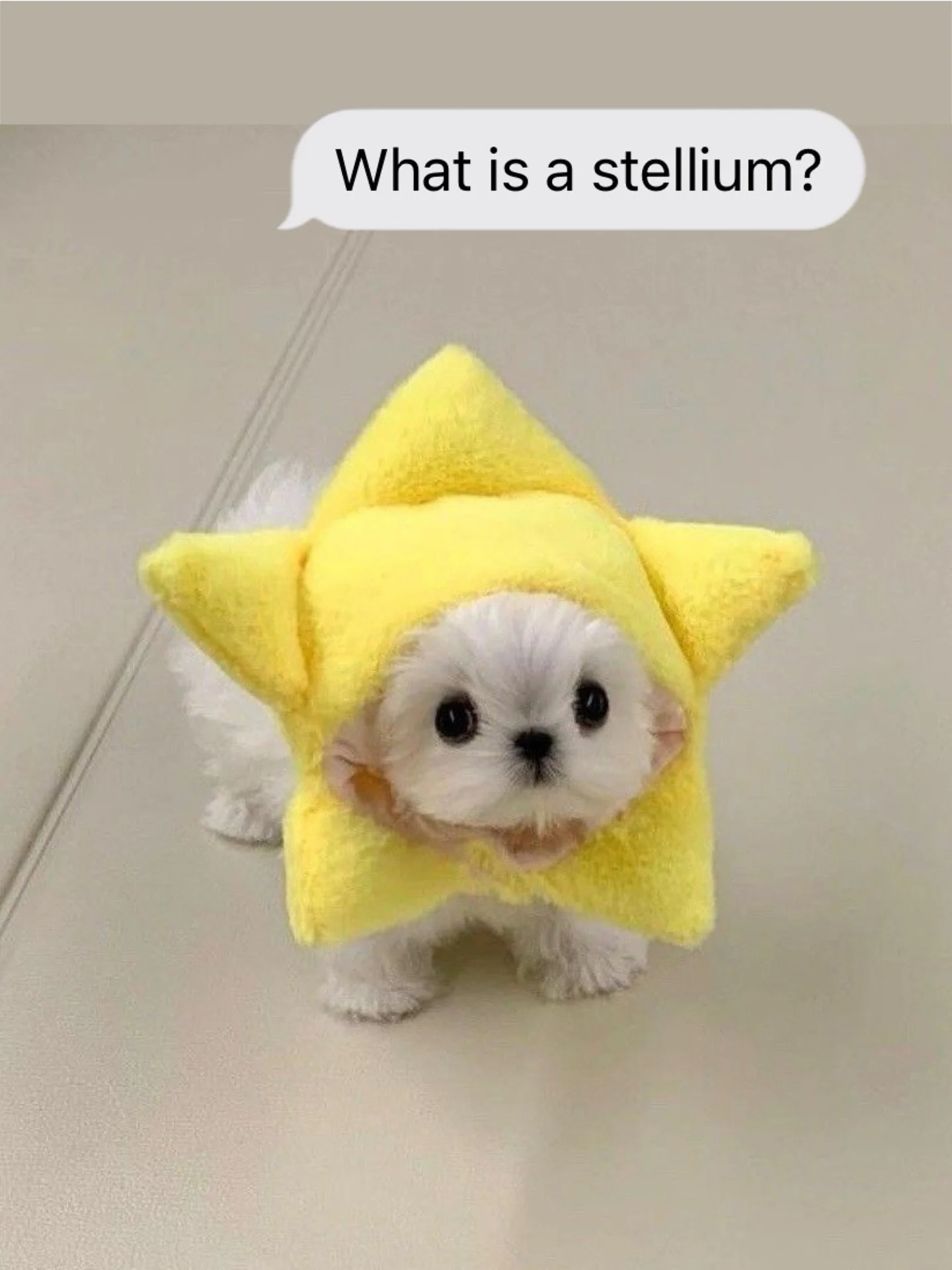 A stellium happens when three or more planets cluster in the same sign or house. This isn&rsquo;t random&mdash;it&rsquo;s a point of focus in your chart, an area of life where you carry immense potential and influence.

Your stellium is like a superp