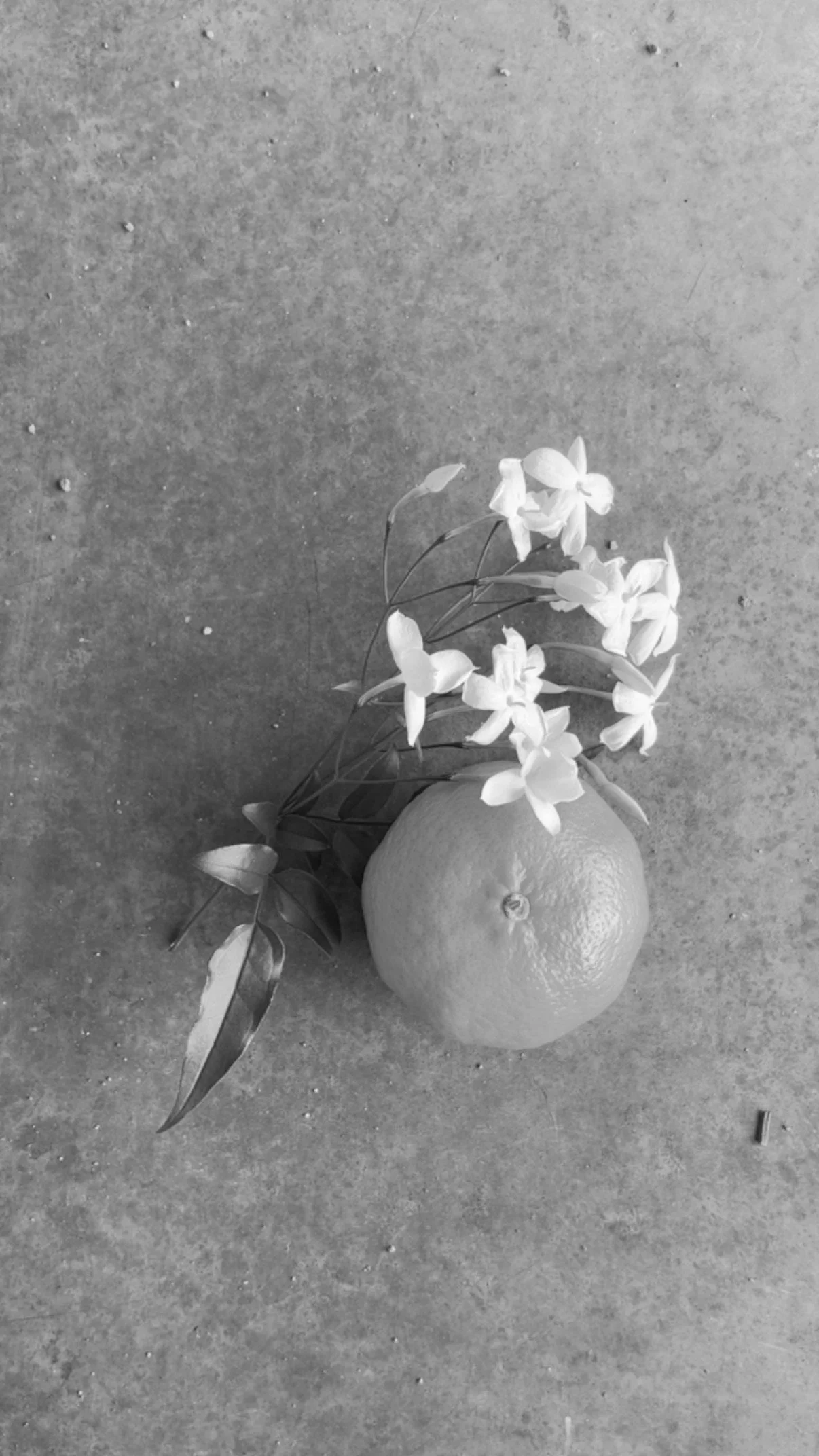 Website Refresh — $3,000