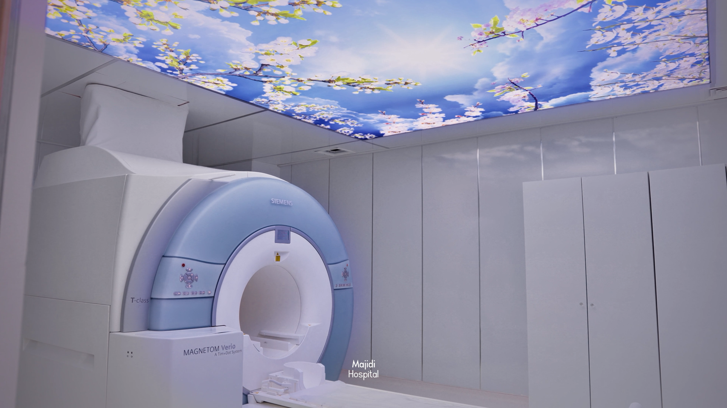 Hospital Pic (8).png
