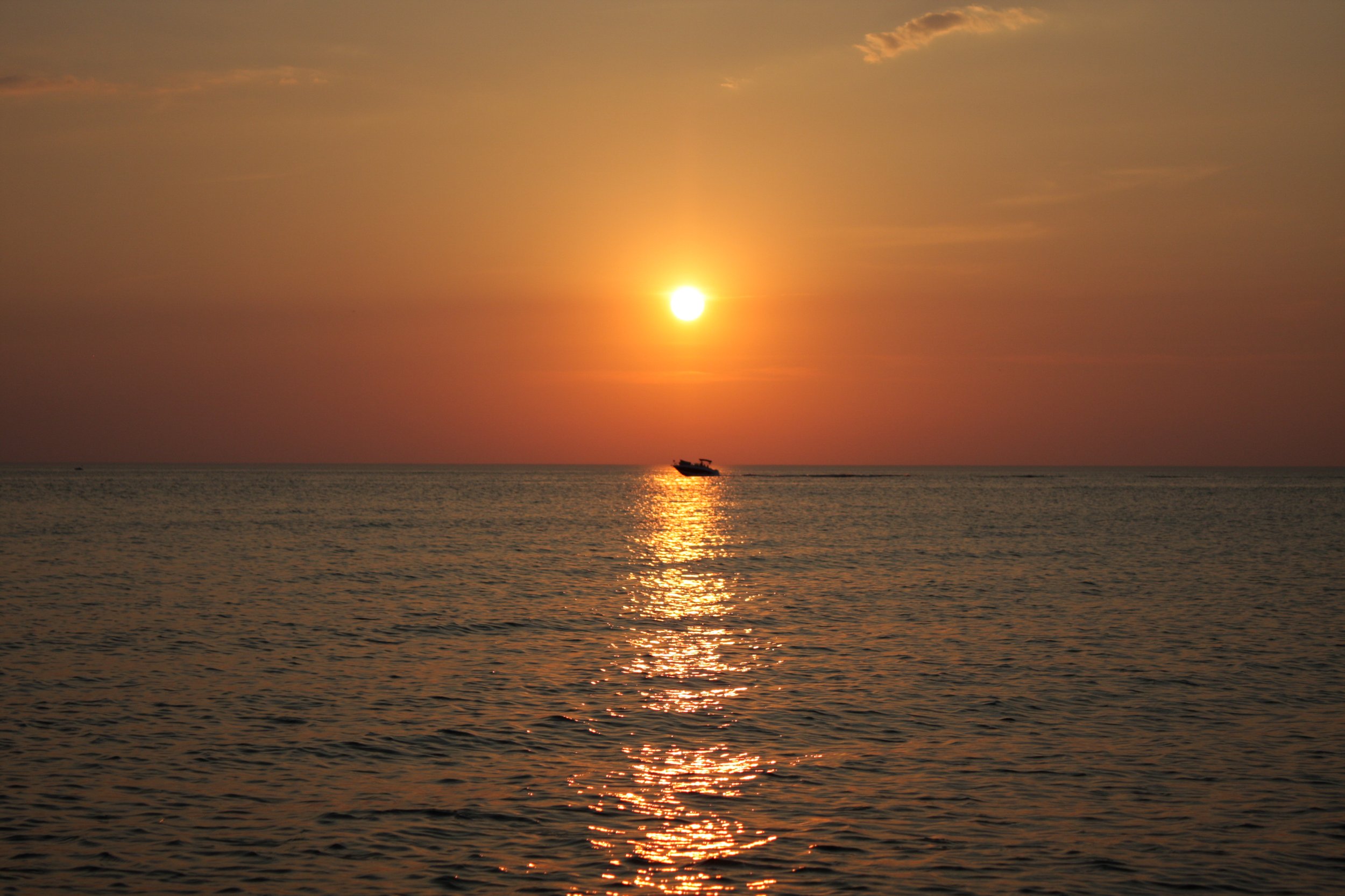 IMG_5388.jpg