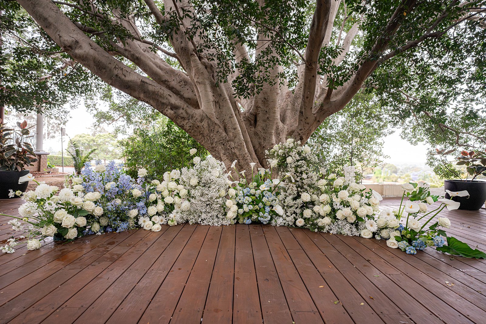 Cropley House Floral Arch for Wedding Ceremony by Love Story Blooms