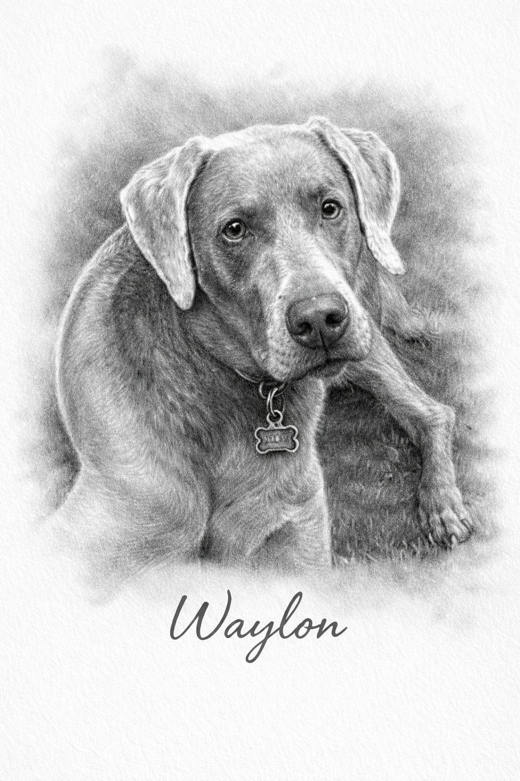 Waylon
