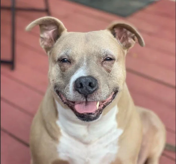 Bella