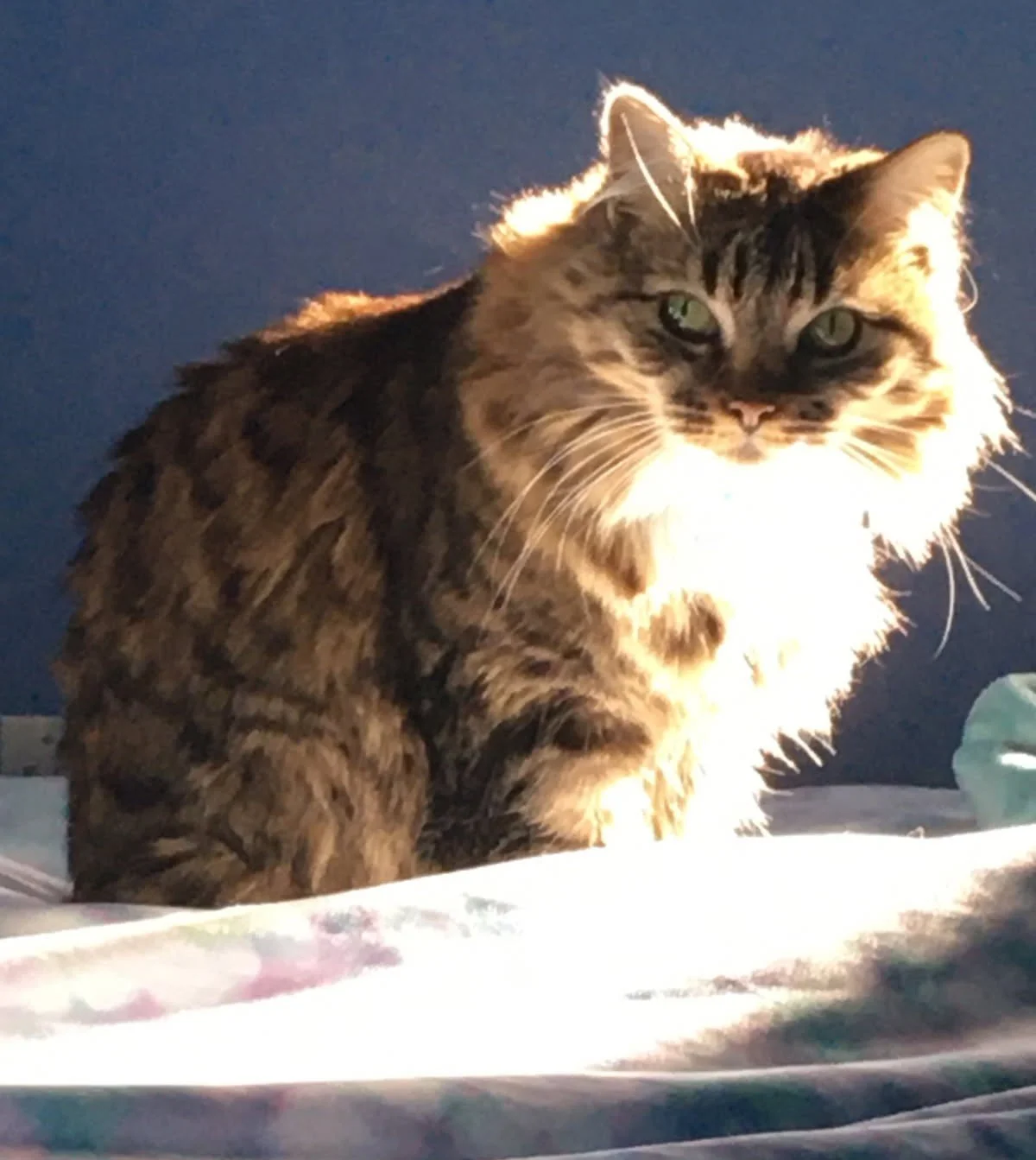 Lilah