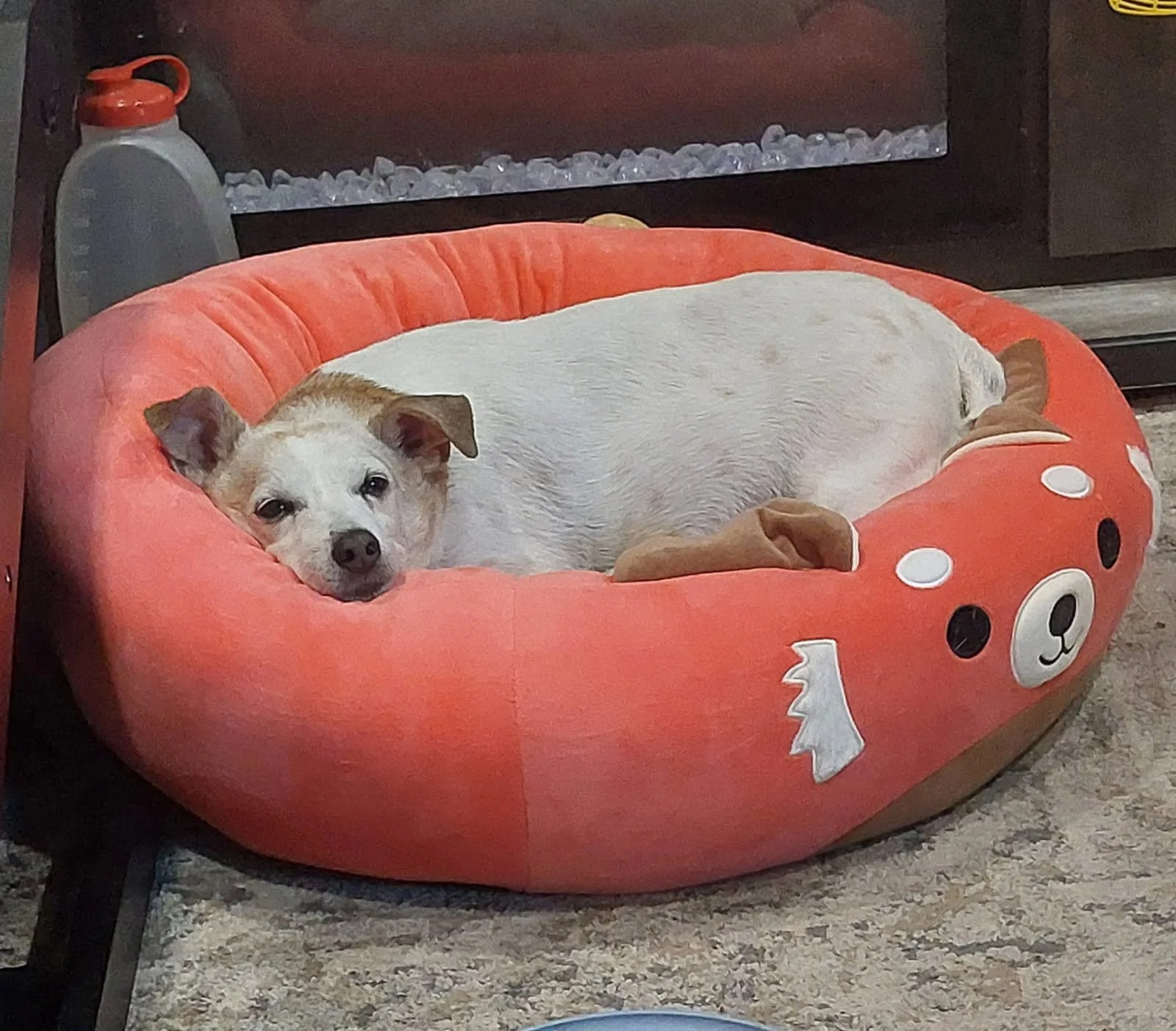 Burrito