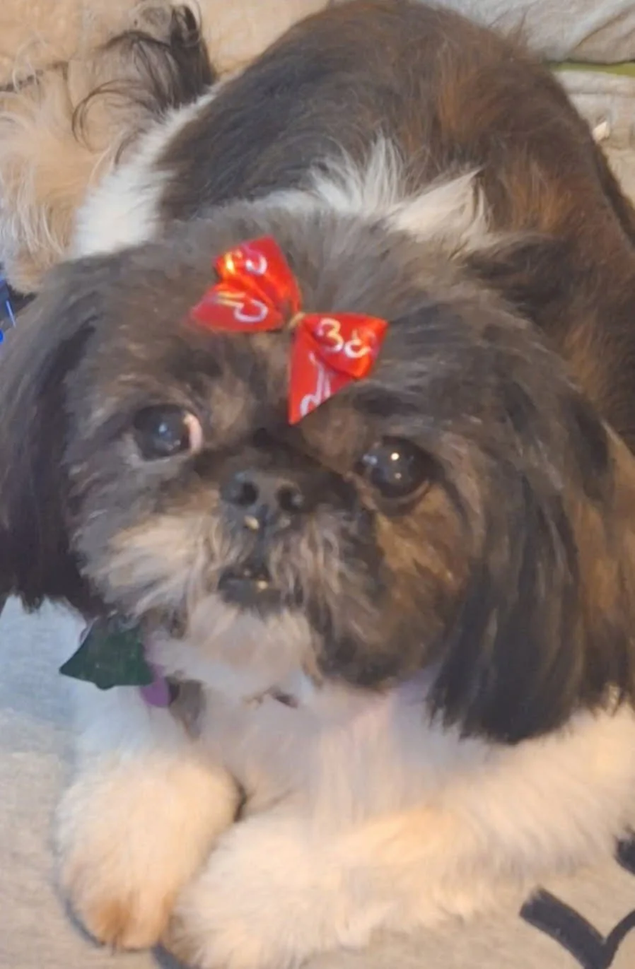 Lucy