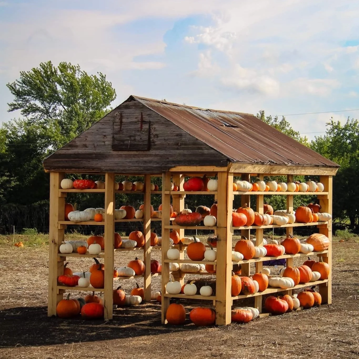 topeka pumpkin patch things to do in topeka