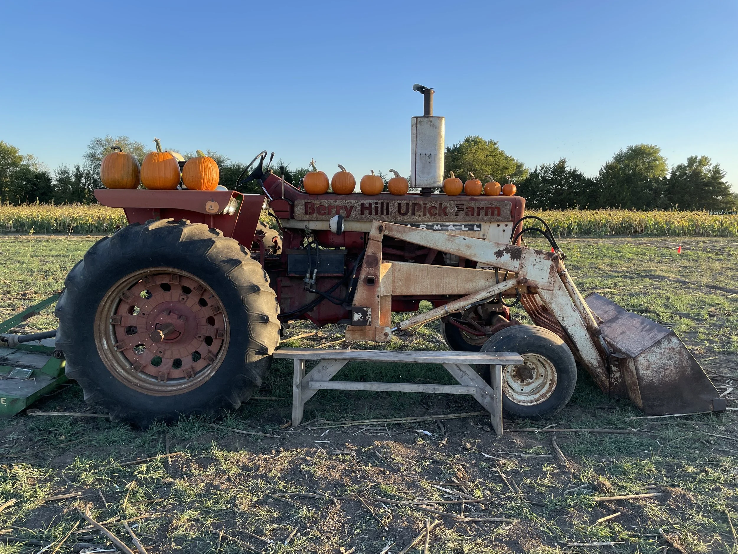pumpkin patch near Emporia