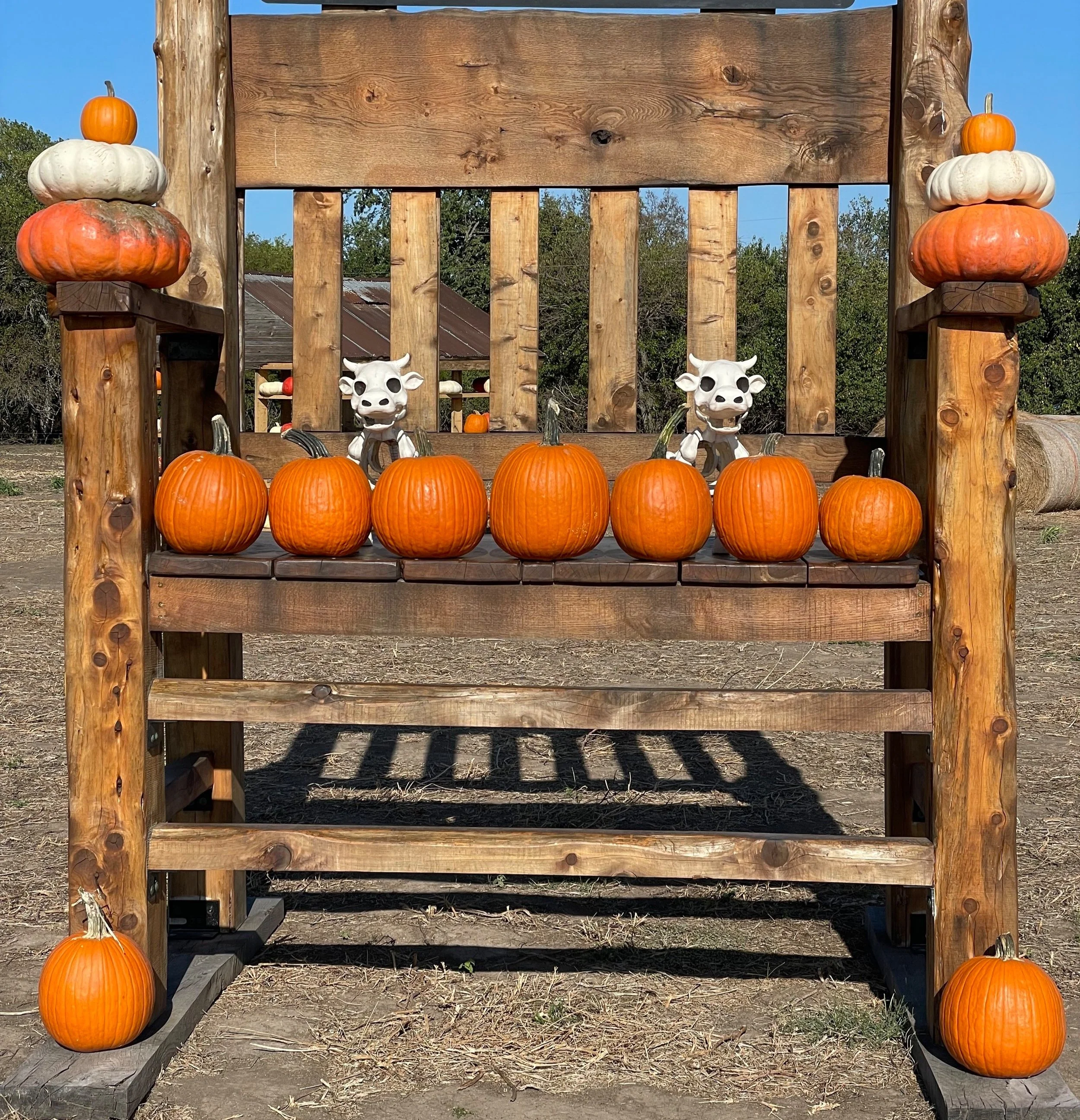 kansas pumpkin patches where families can come play and hang out for the day in the fall