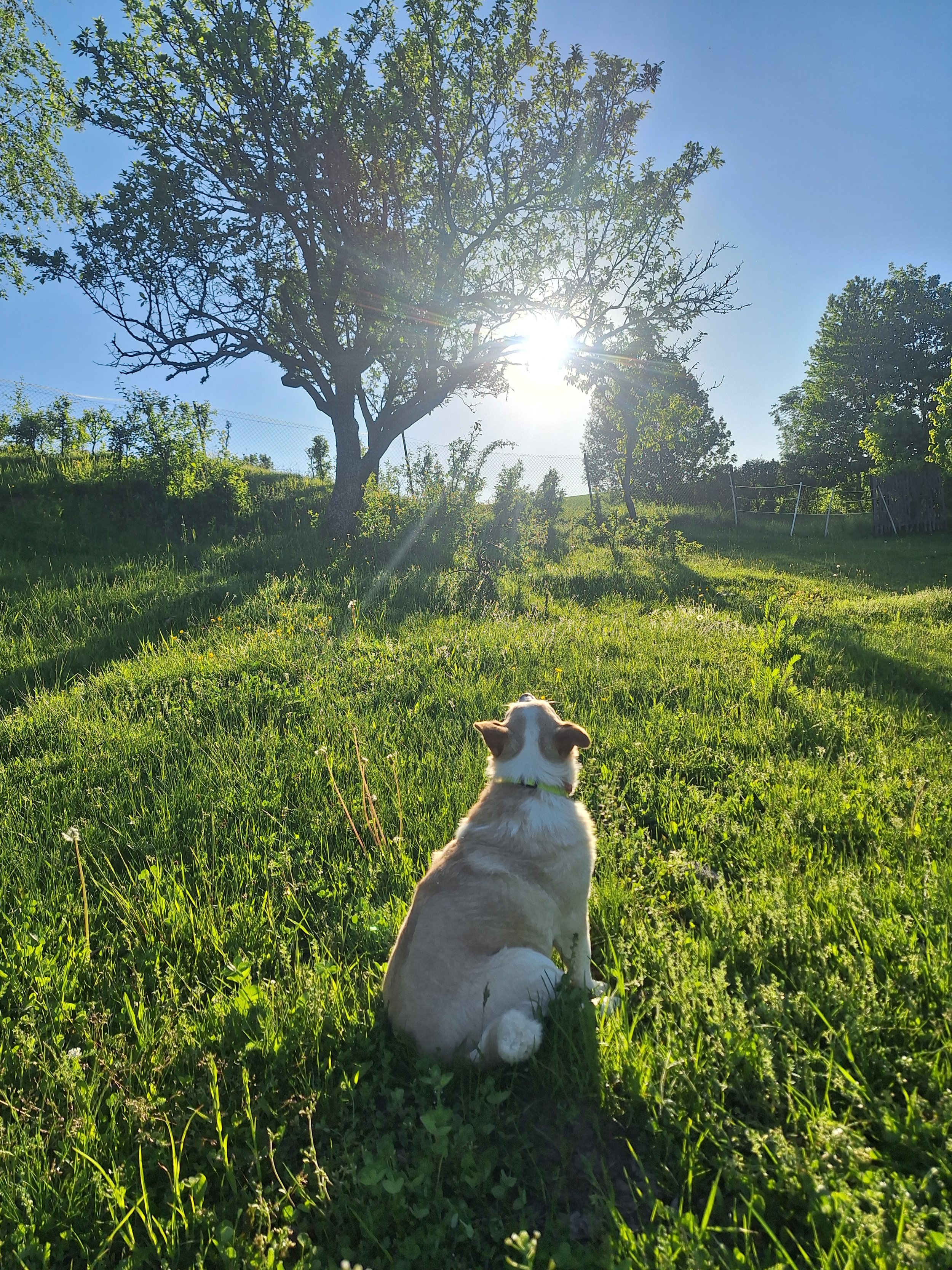 Najlepšia priateľka Daisy