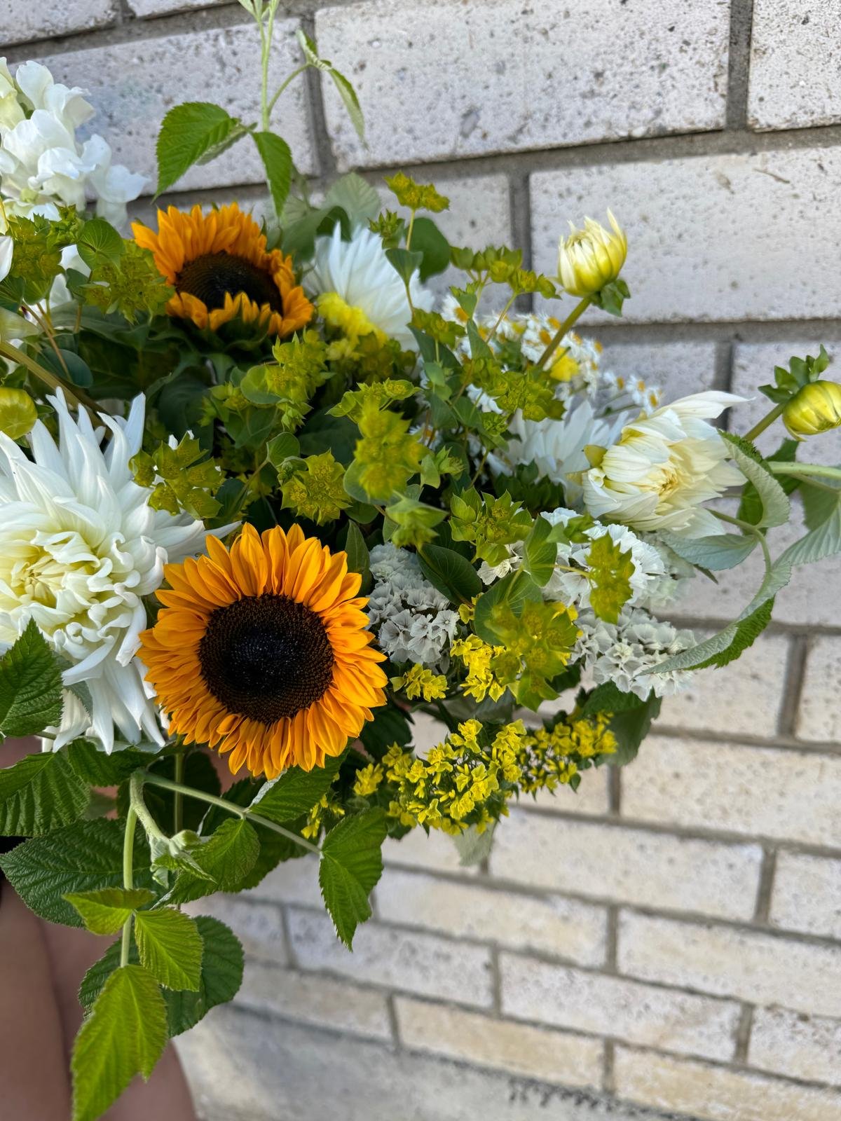 tournesol2.jpg