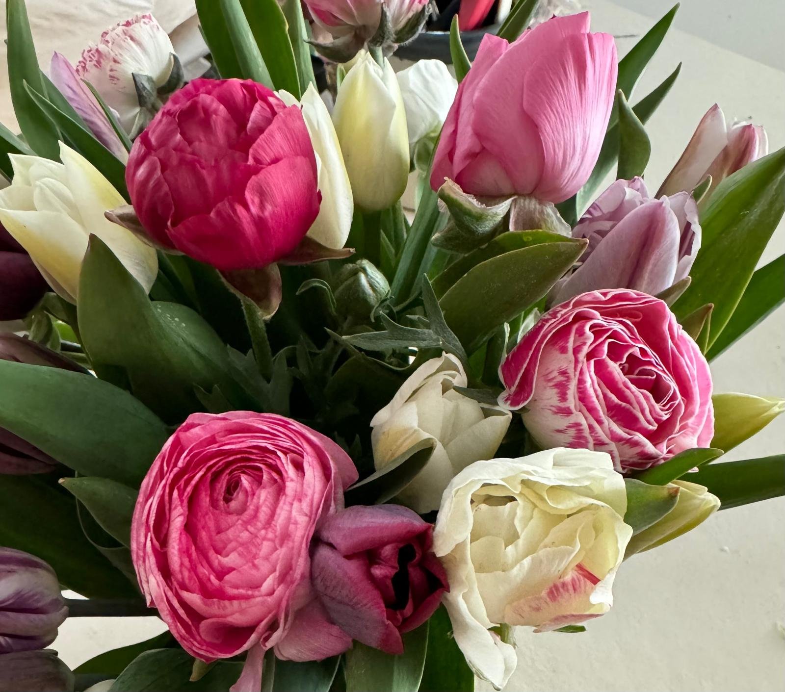 Tulipes_bio_suisse.jpg
