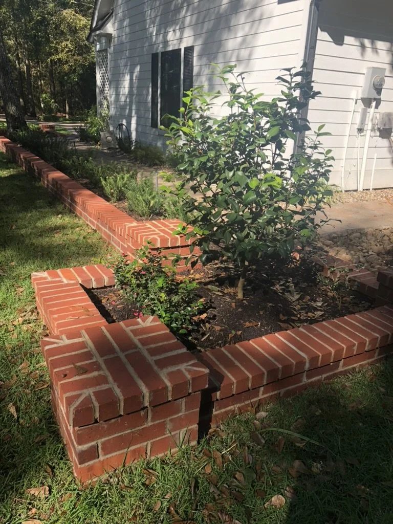 Bespoke red brick raised box beds adding structure and neat hedges (NOT boxwood) to the pathways along the side of the house.
