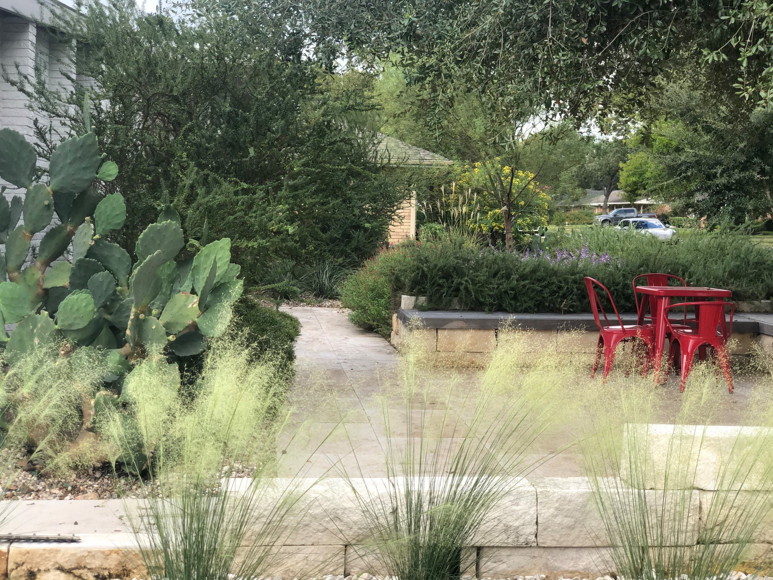 The front yard patio: hardscaping doesn't have to be so cold even the nopales appears fluffy. 