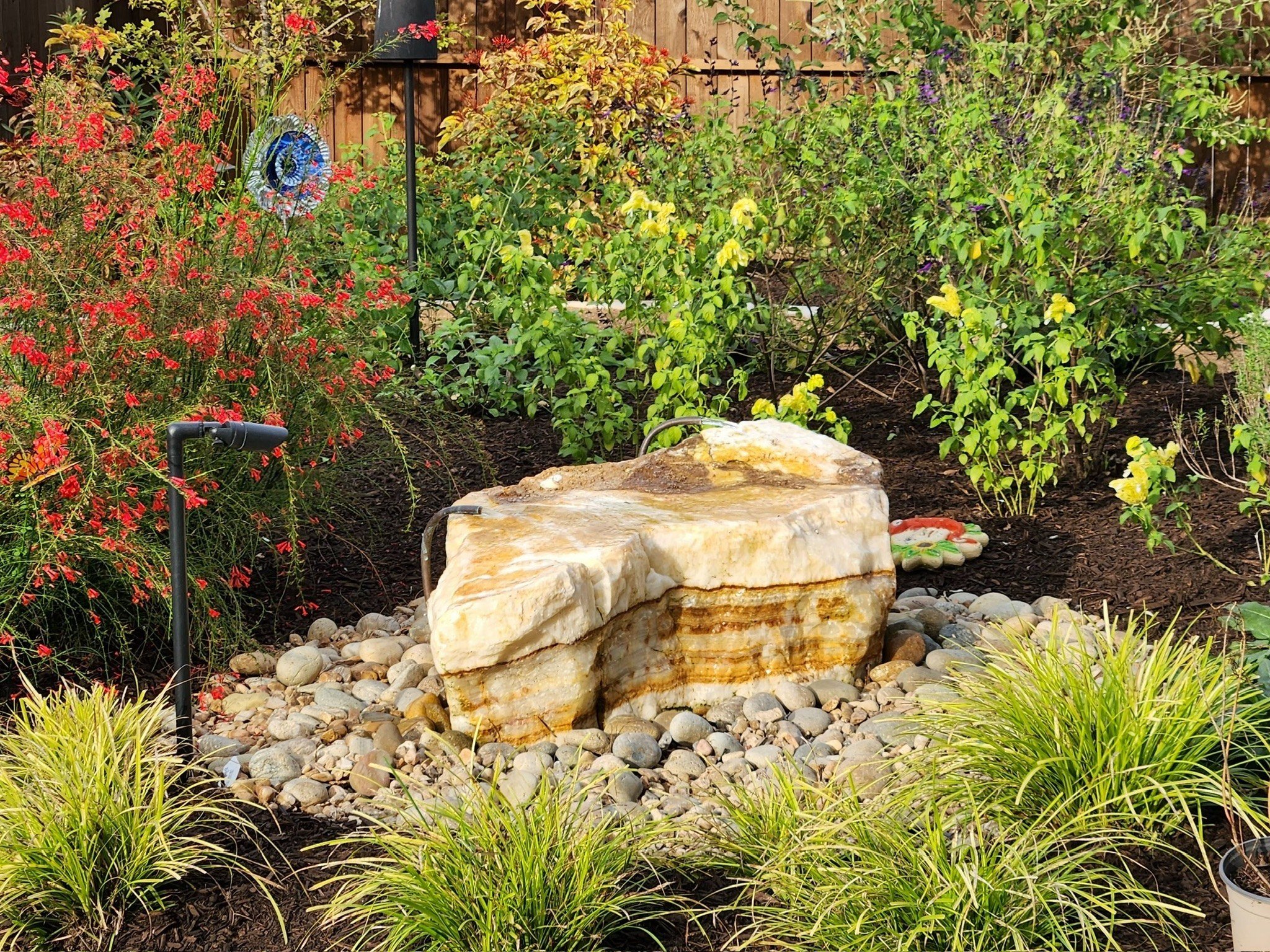 boulder bubbler fountain with firecracker plant and golden sedges
