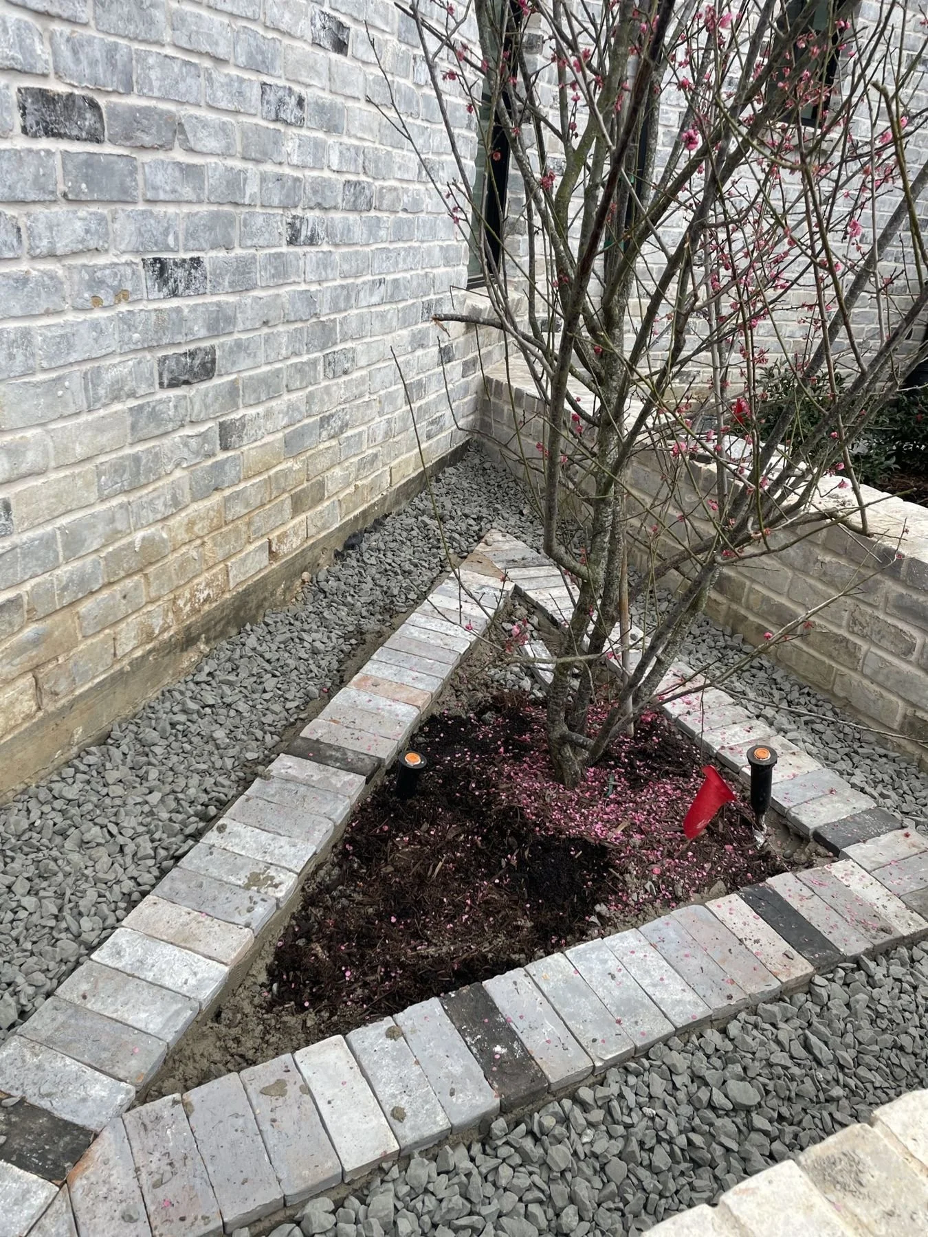 Brick-edged tree bed in black gravel