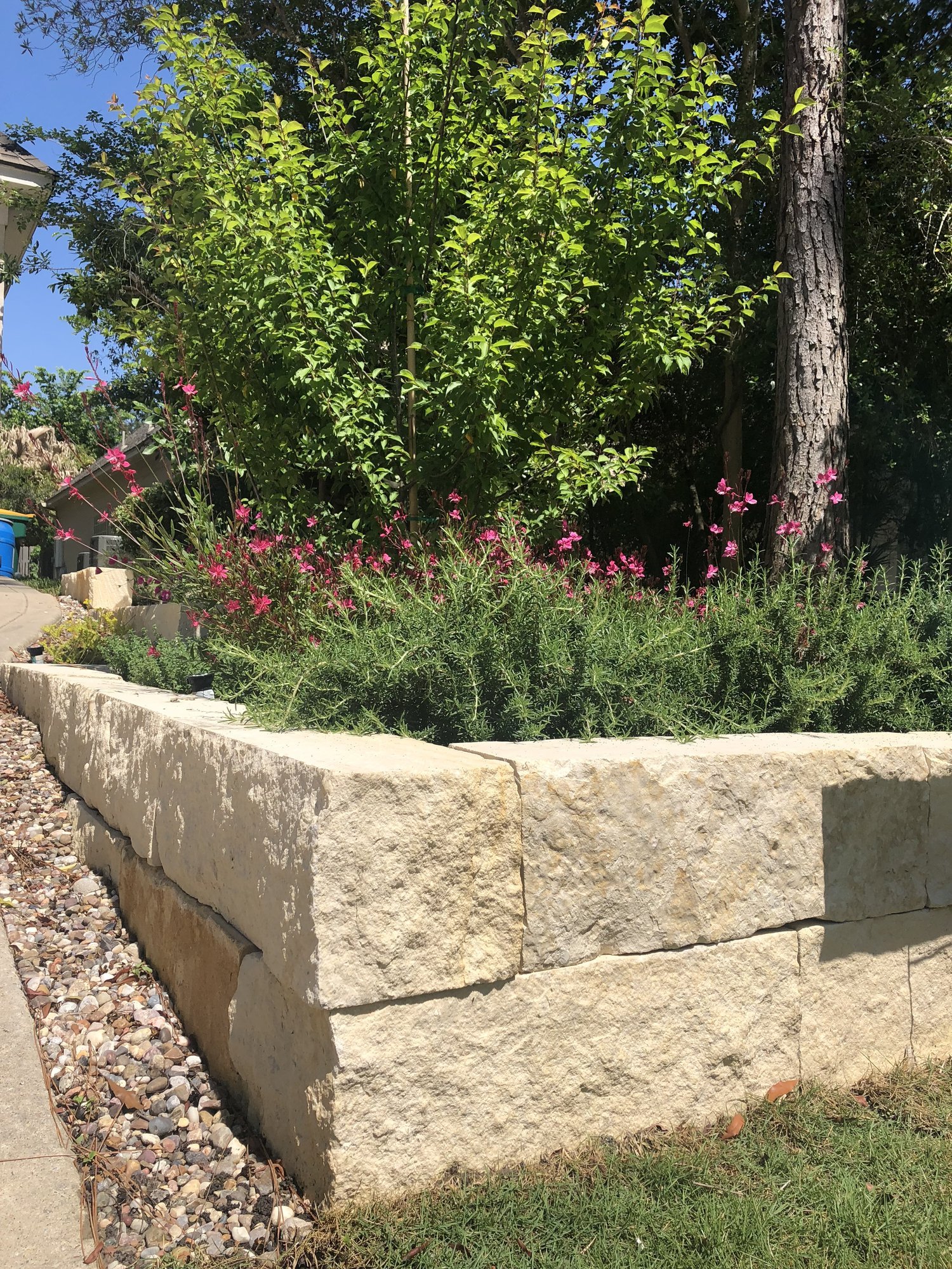 Quarried limestone block raised bed along the gravel path