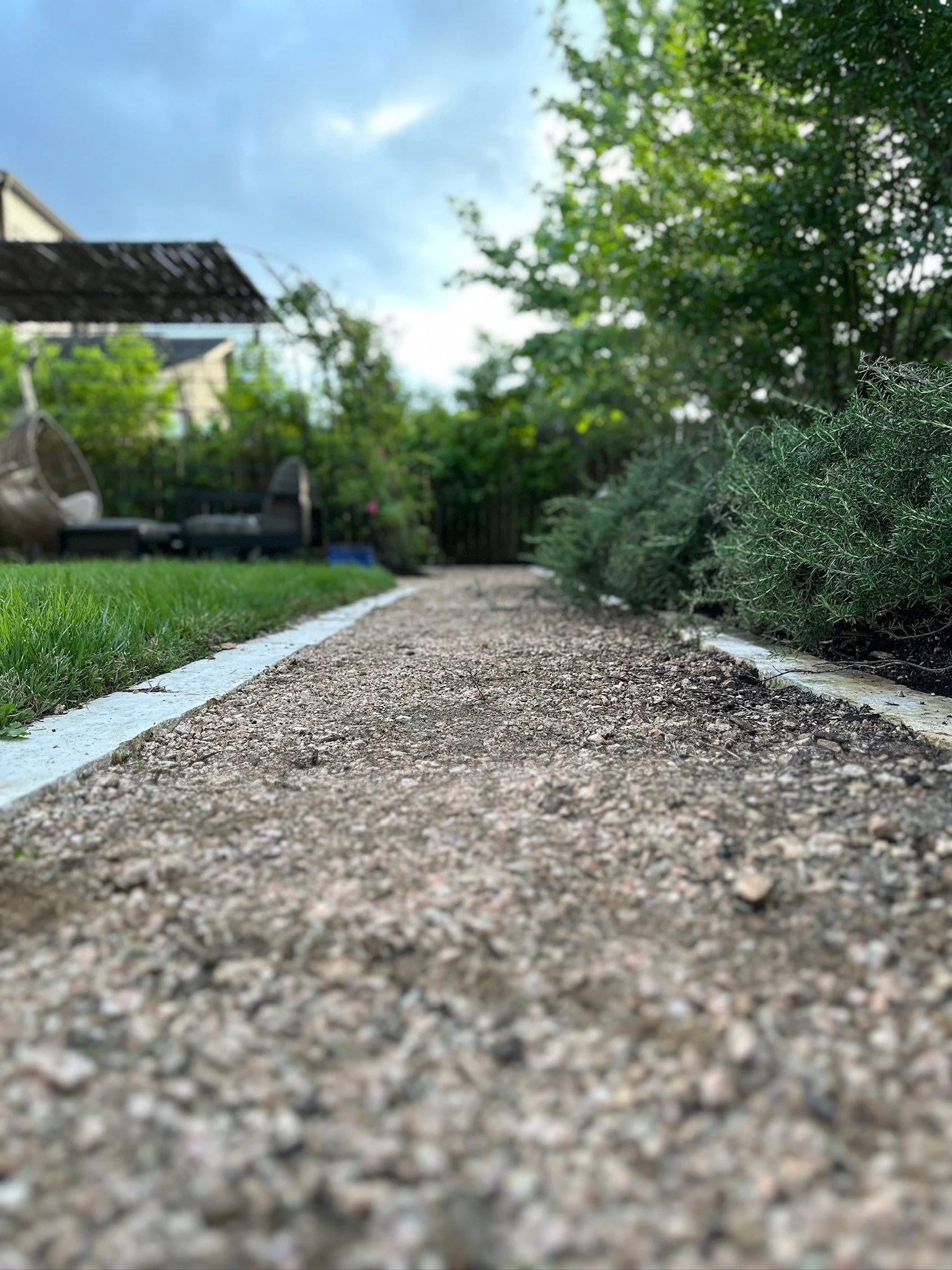 crushed granite pathway lined with prostrate rosemary