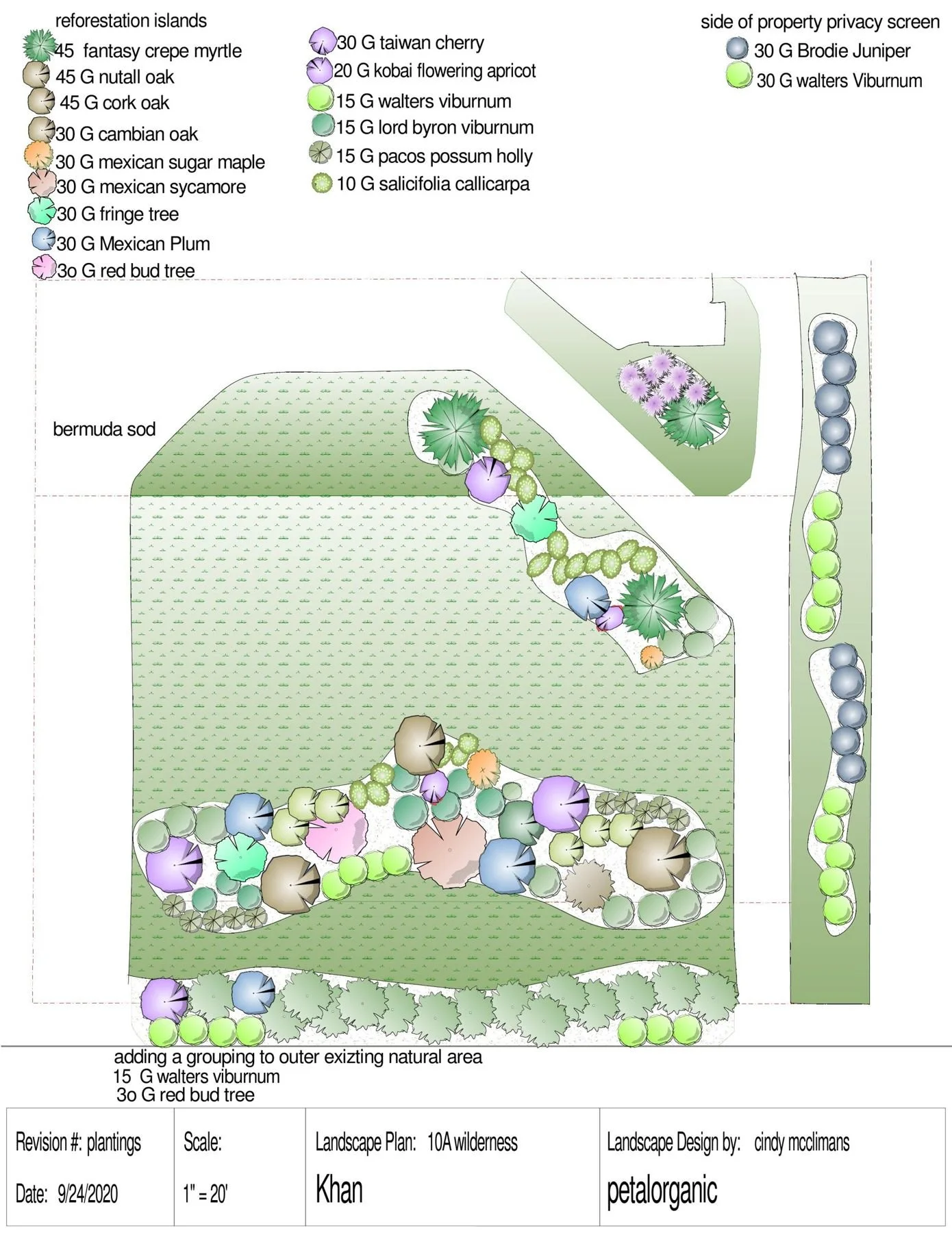 Planting plan: reforestation islands and privacy screens across ten acres