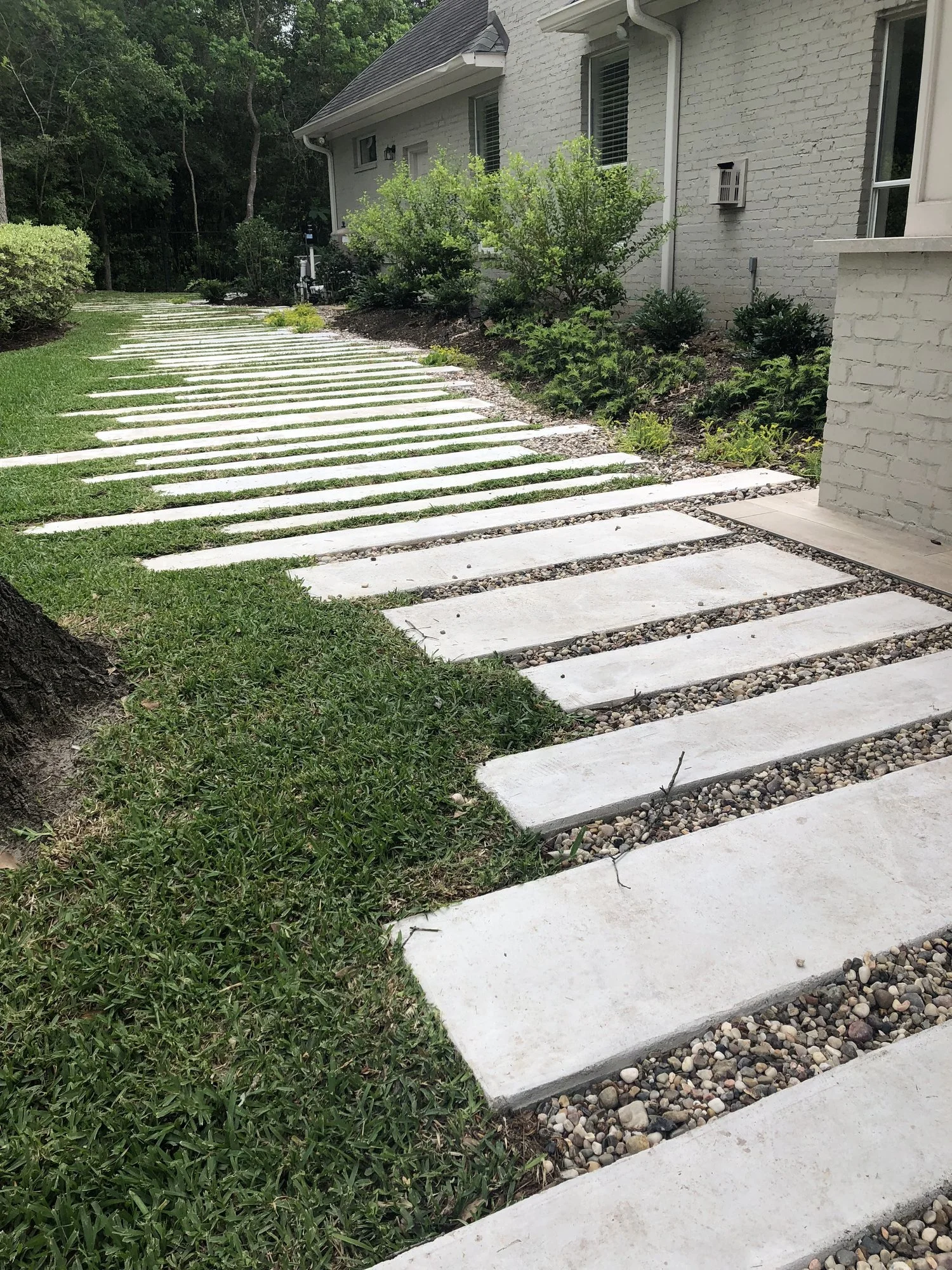 Concrete plank path curving past the native beds