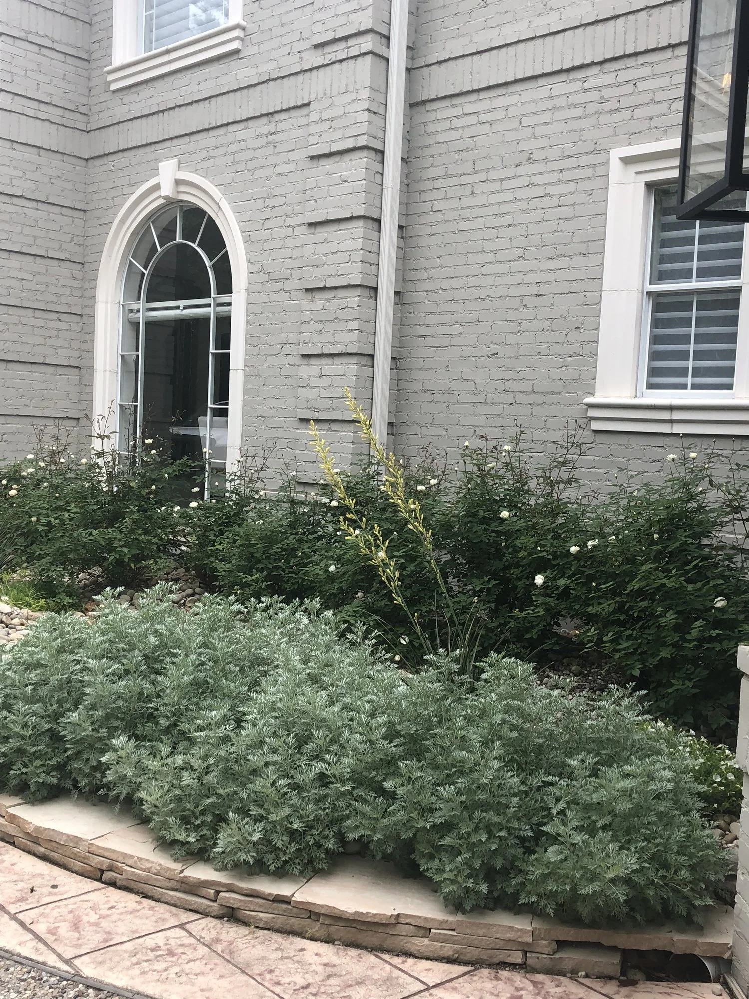 Silver artemisia mounds along the front foundation