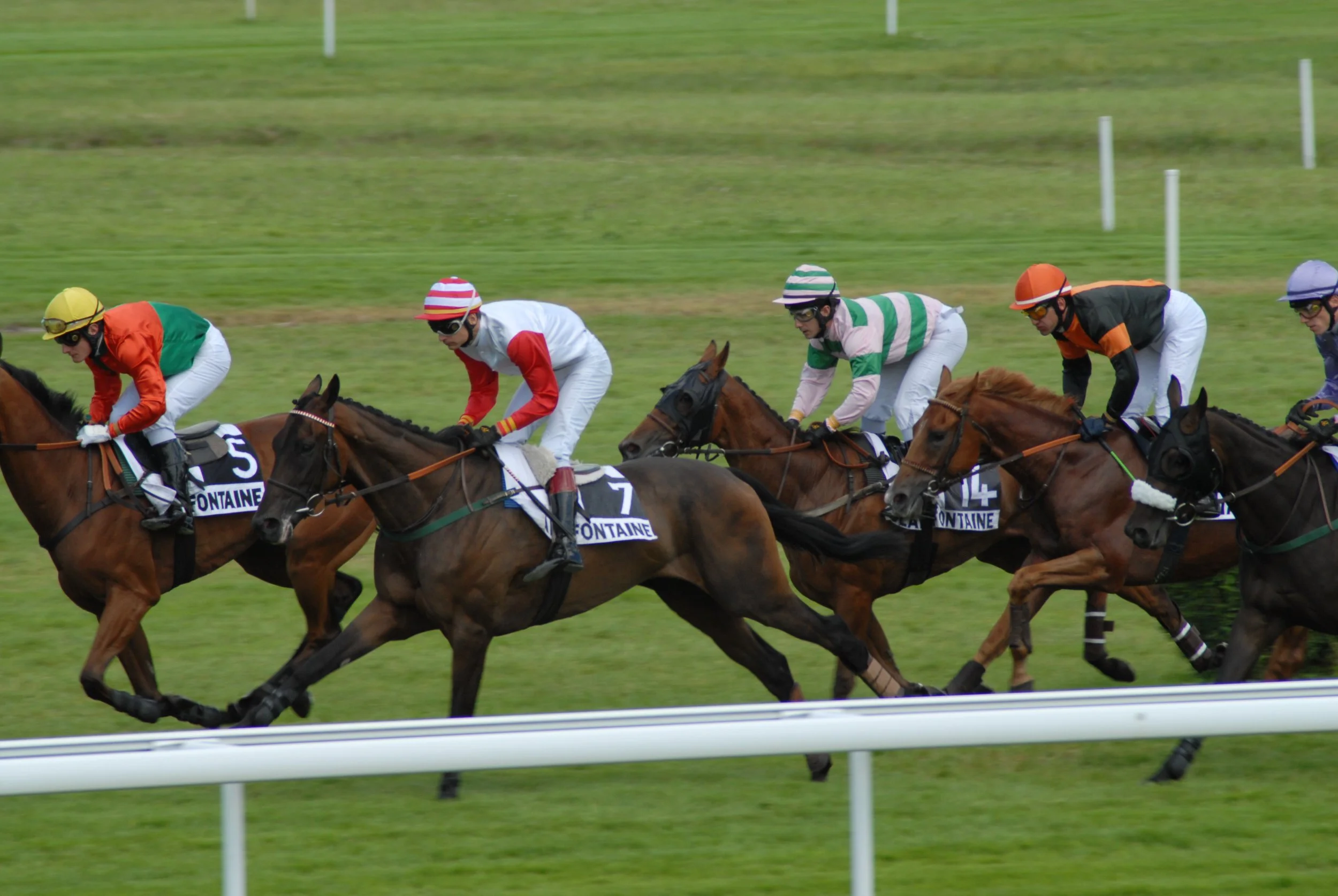 Jockeys riding racehorses during a horse race on a grass track.