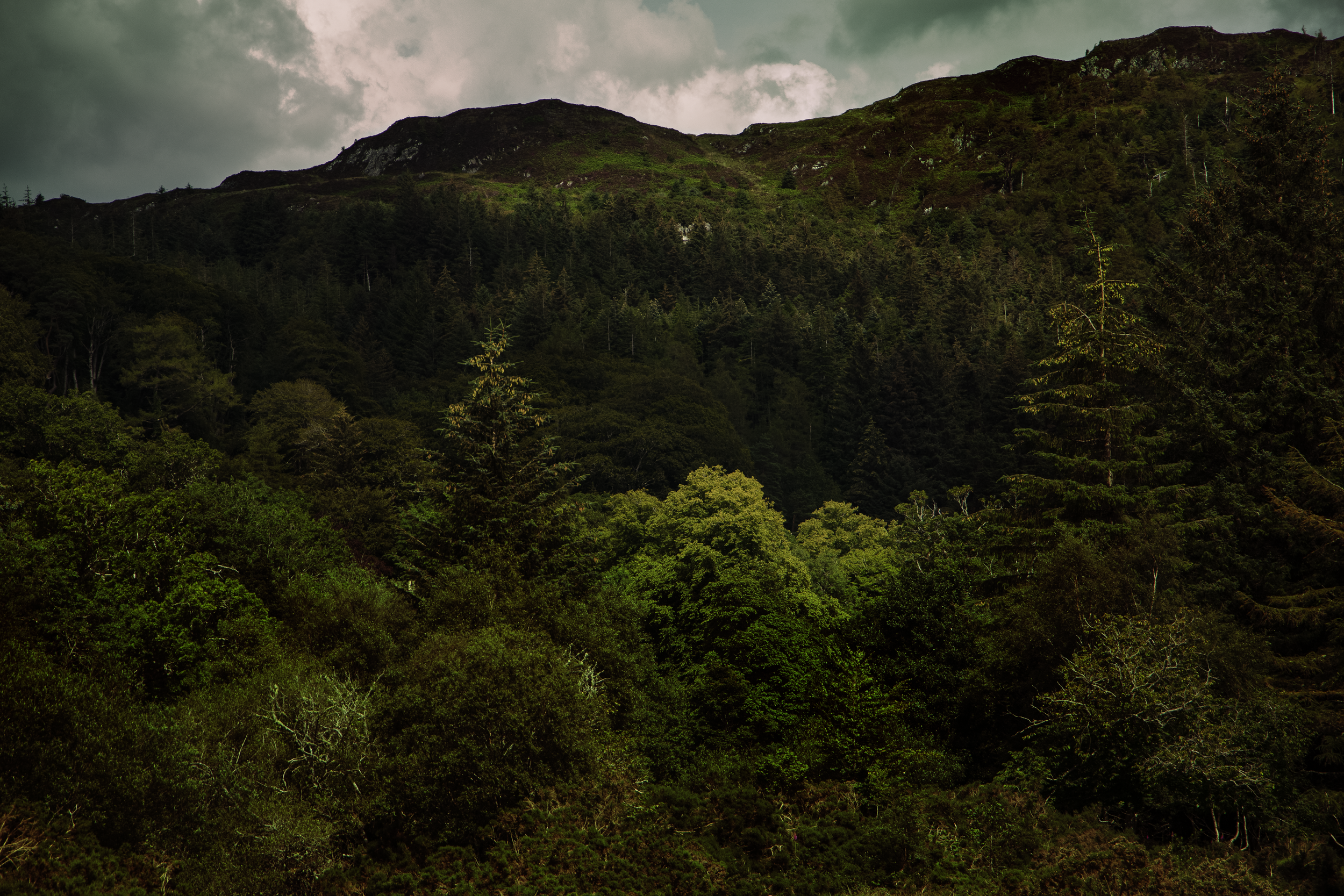 Magic Gairloch.png