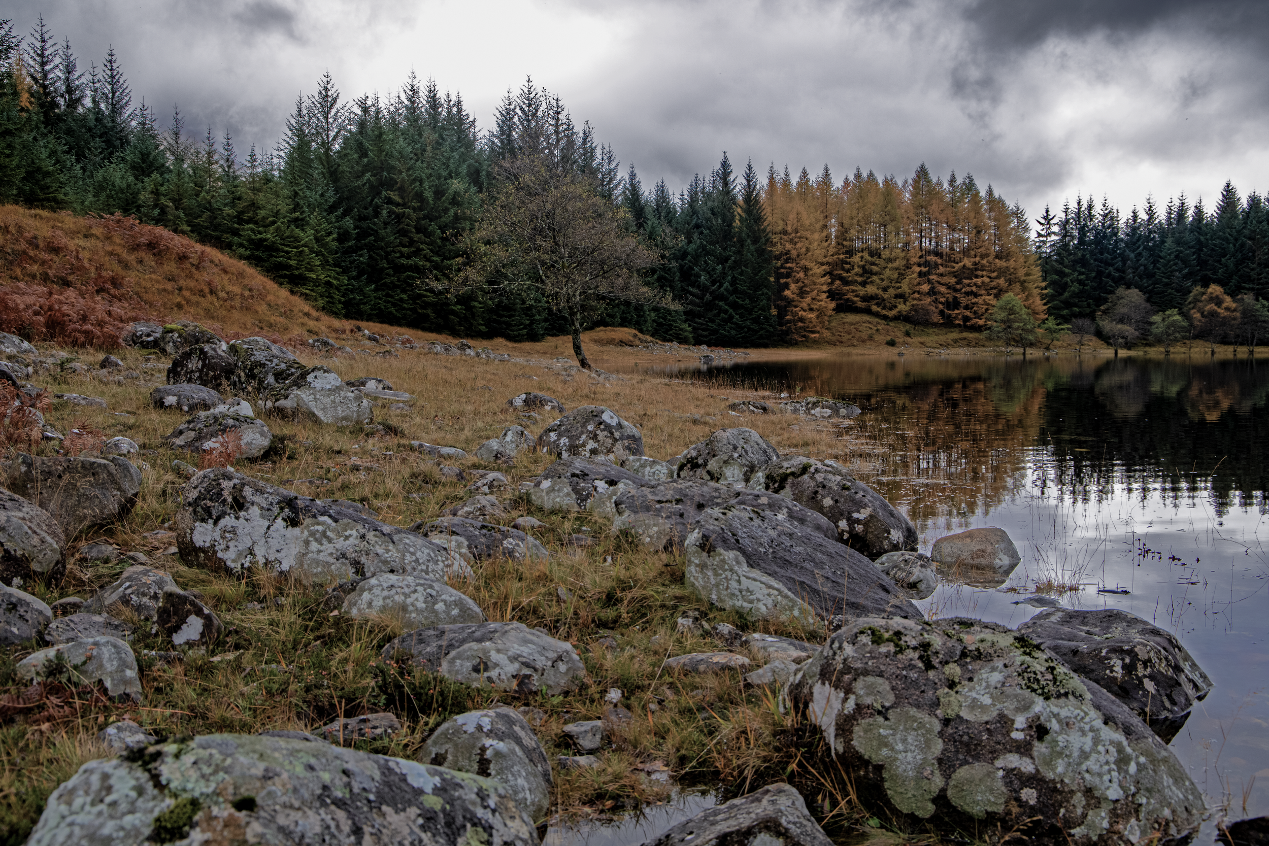 Loch Tulla To Bridge Of Orchy.png