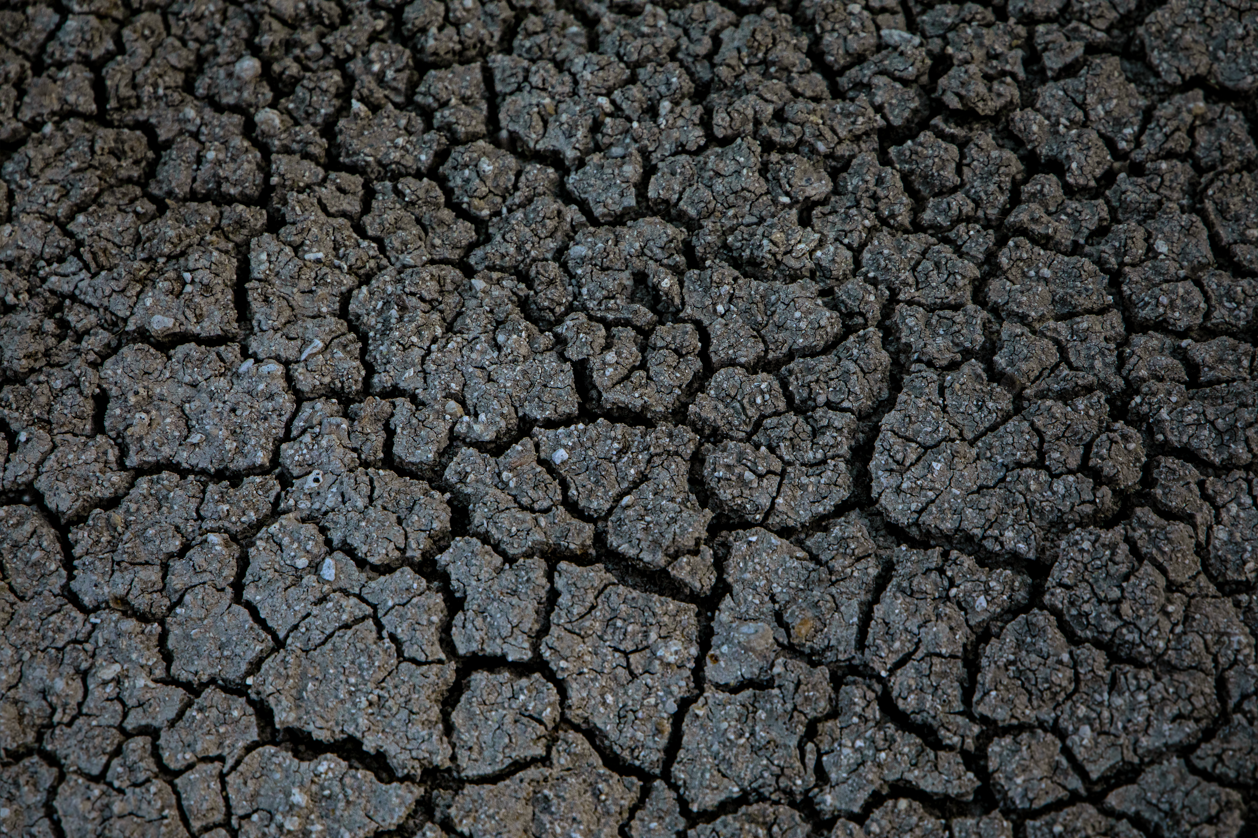 Dry Veins.png