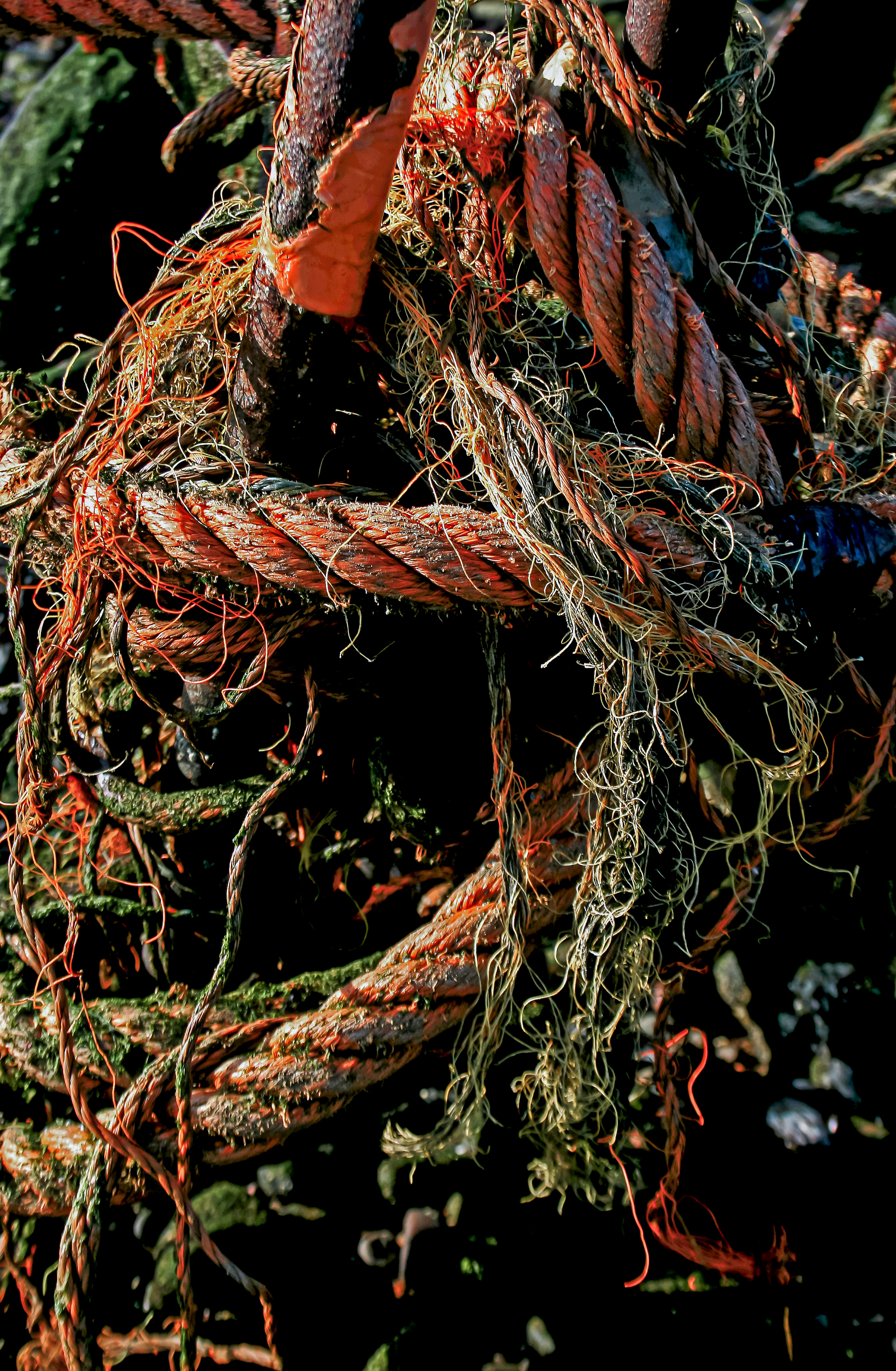 Fraying Fervour.png