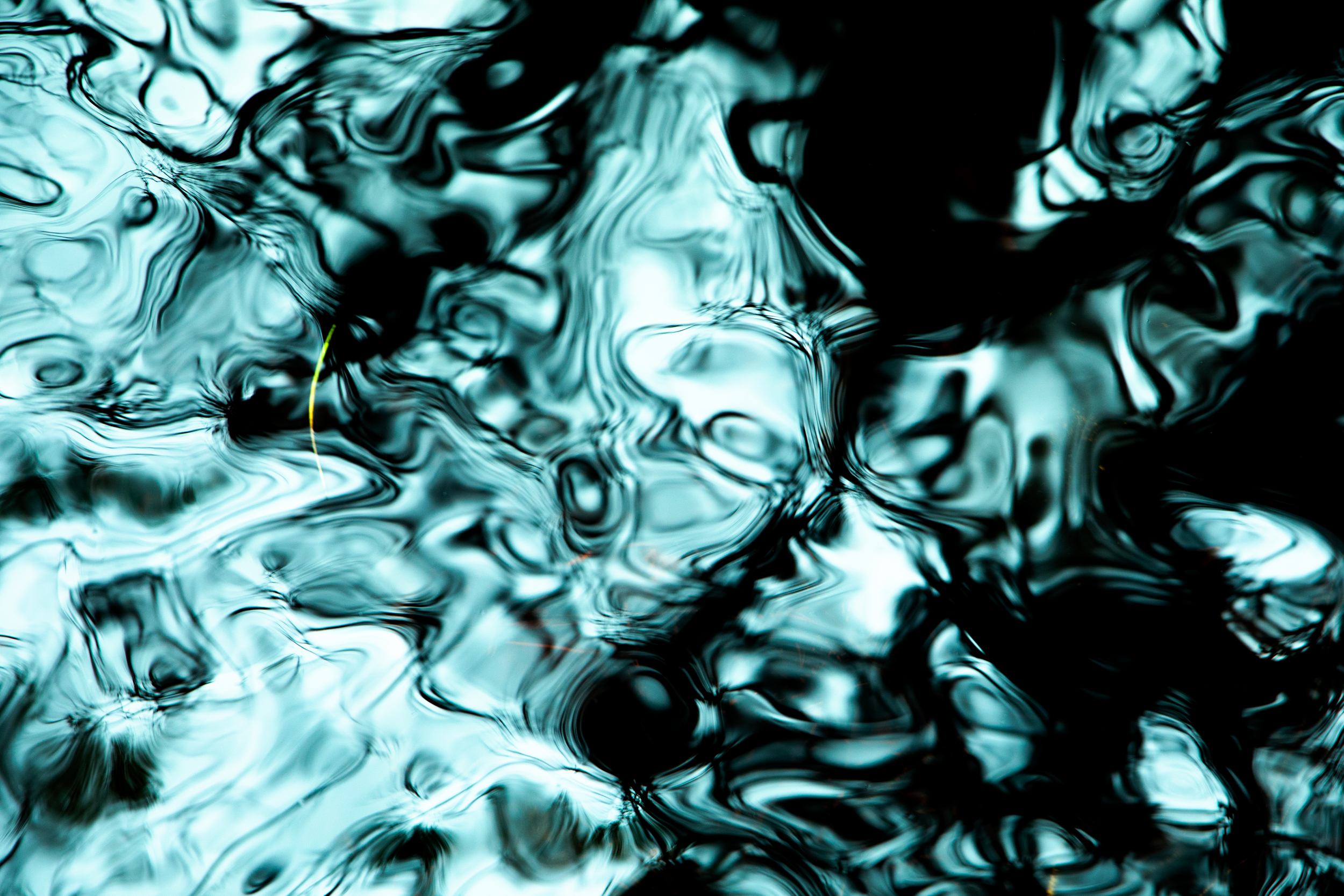 Eau De Vie.png