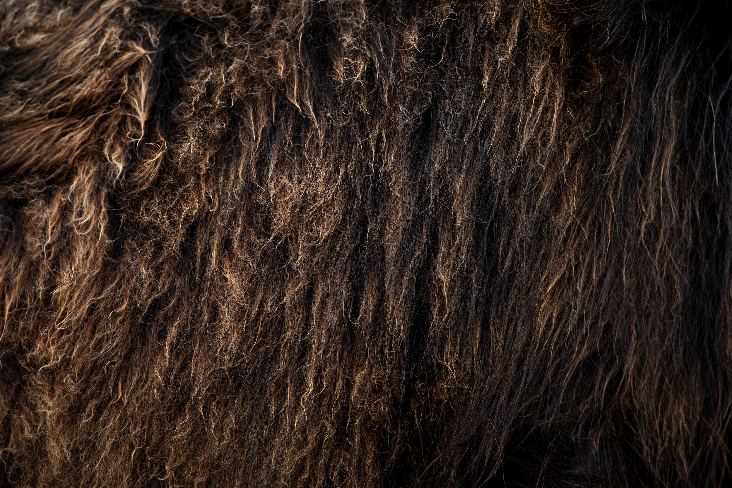Moohair.png