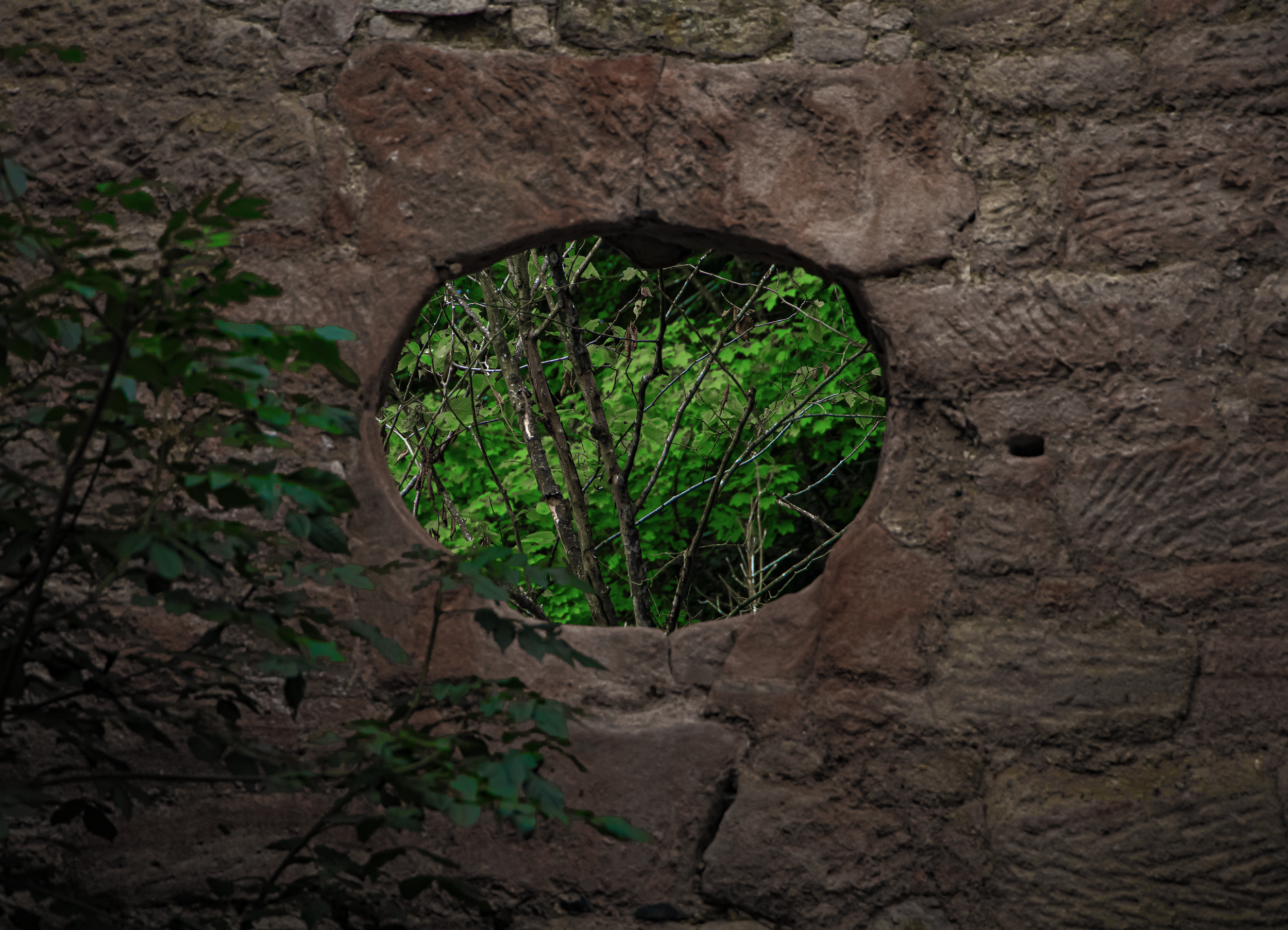 Forest Peepshow.png