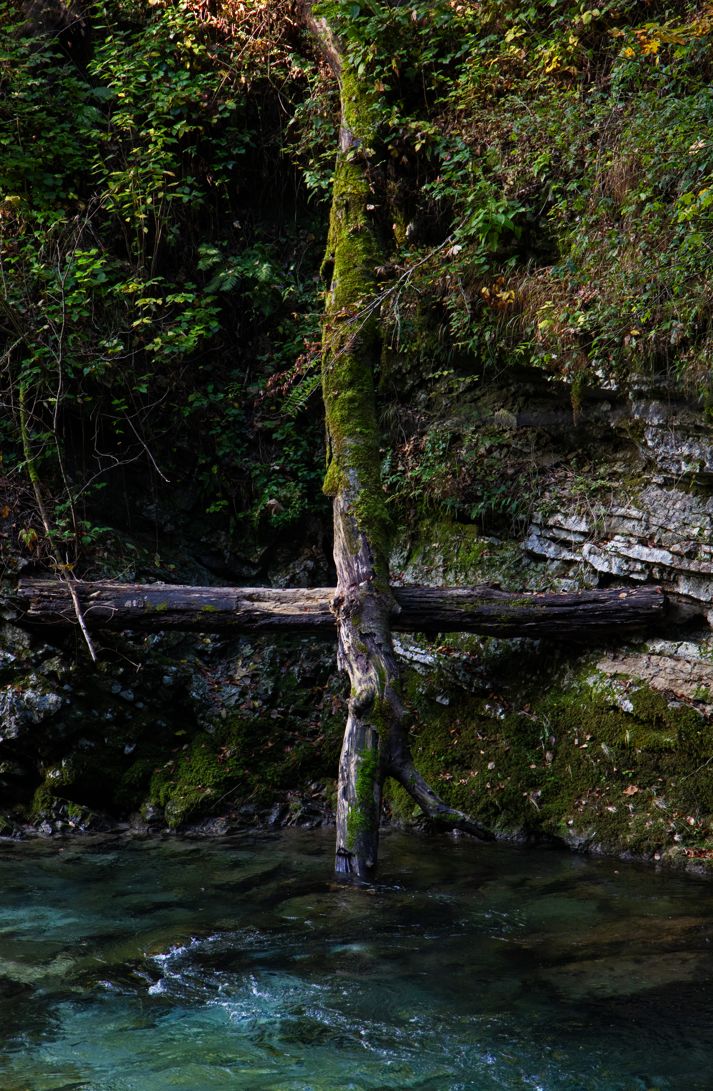 Nature Is The Only System.png